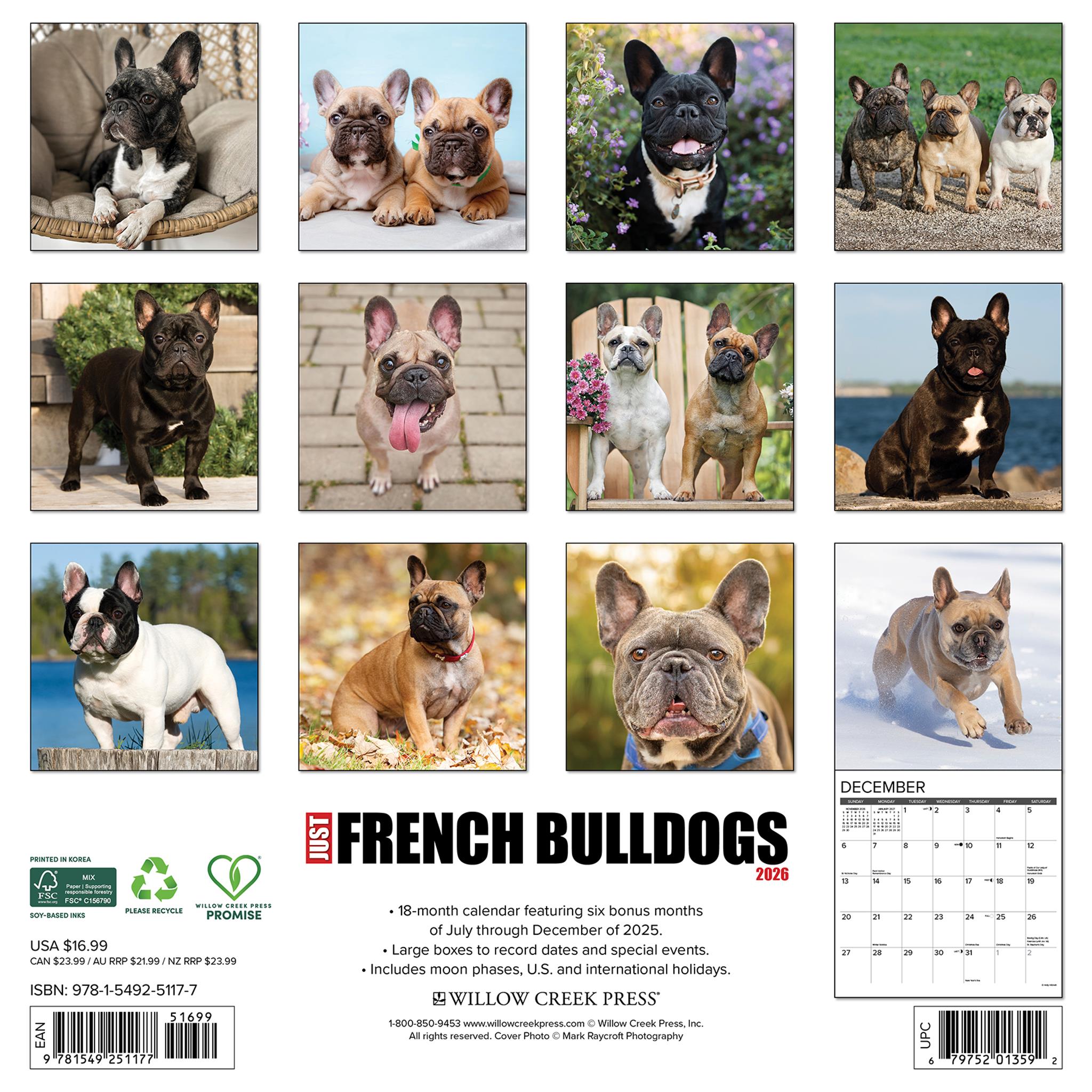 Just French Bulldogs 2026 Wall Calendar
