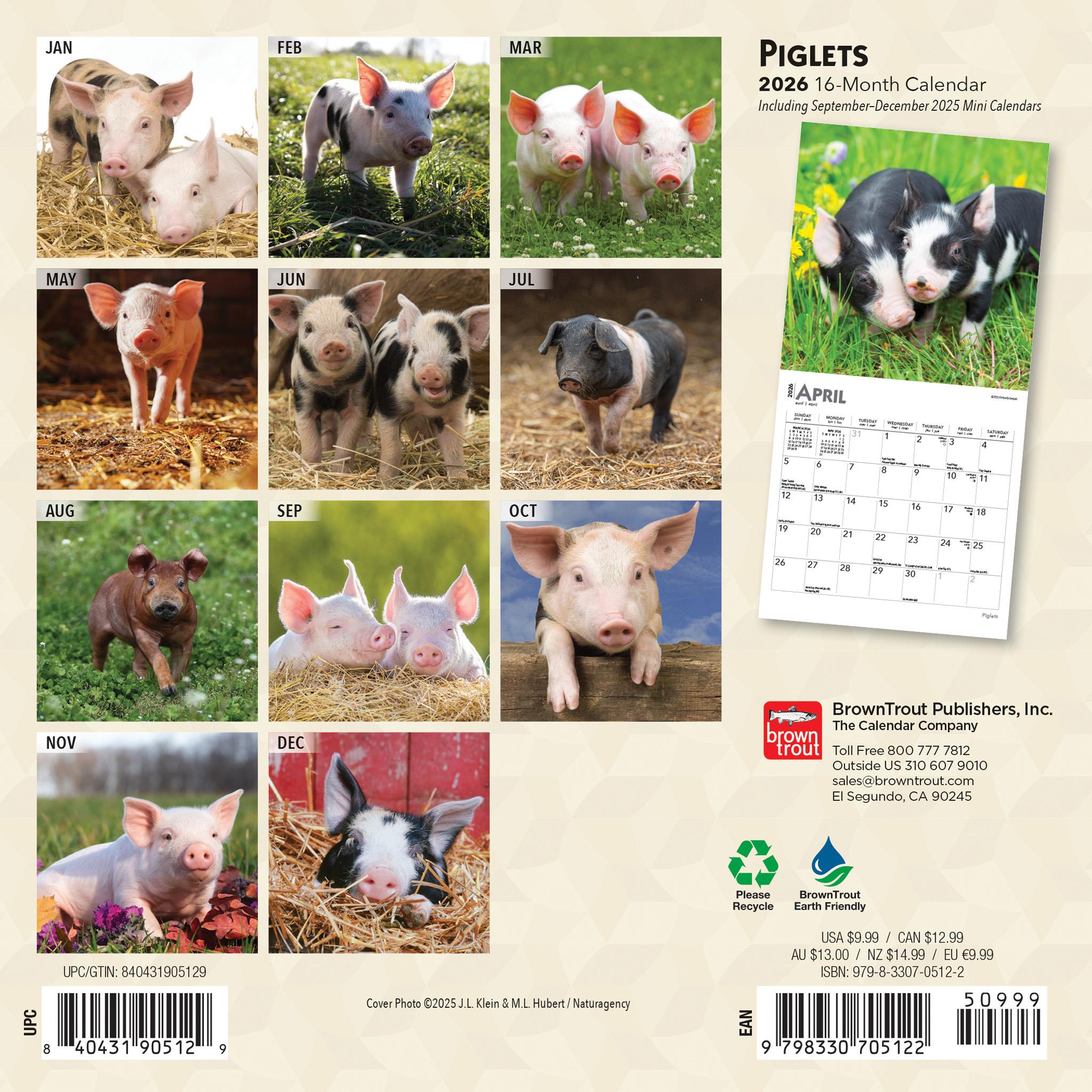 Piglets 2026 Mini Calendar