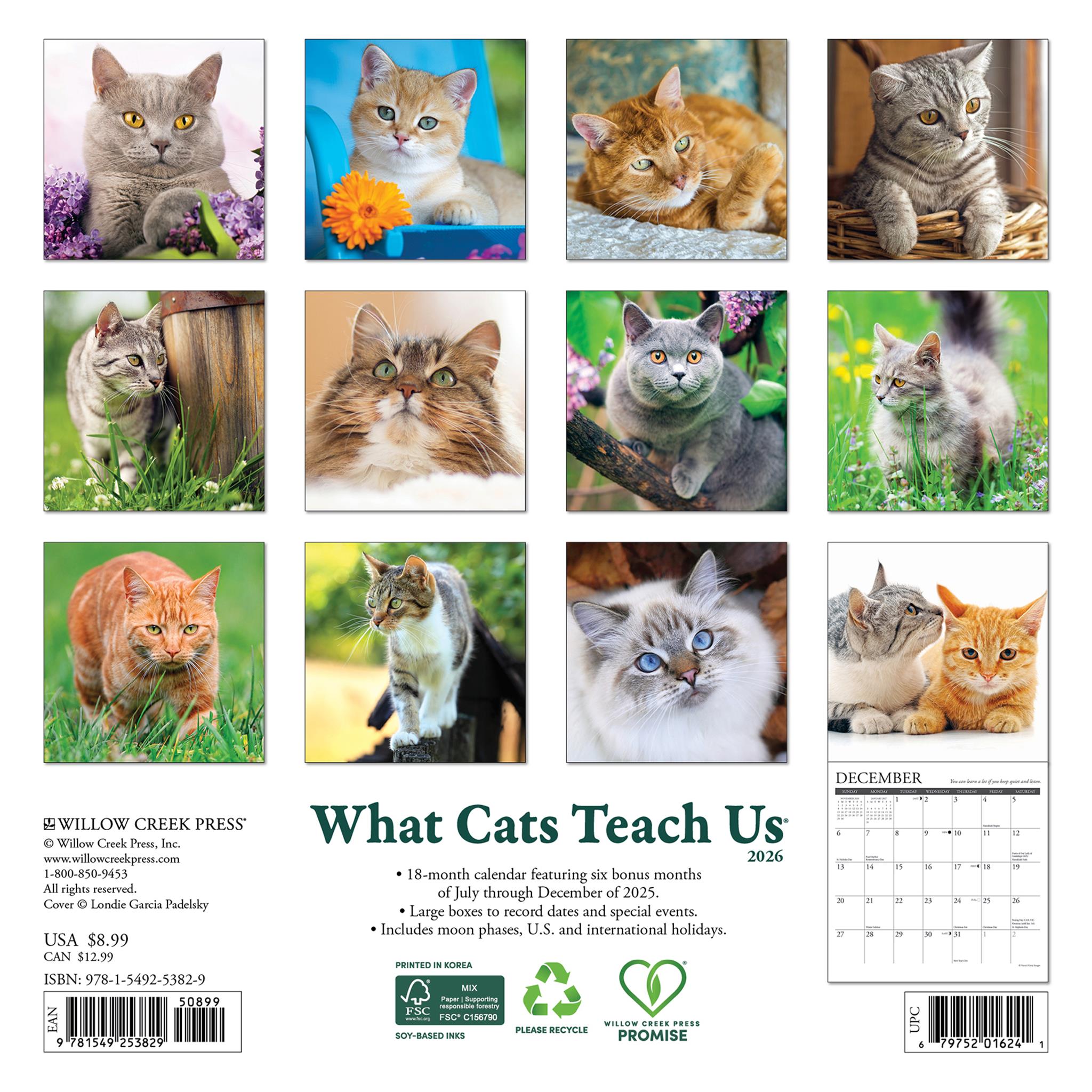 What Cats Teach Us 2026 Mini Calendar