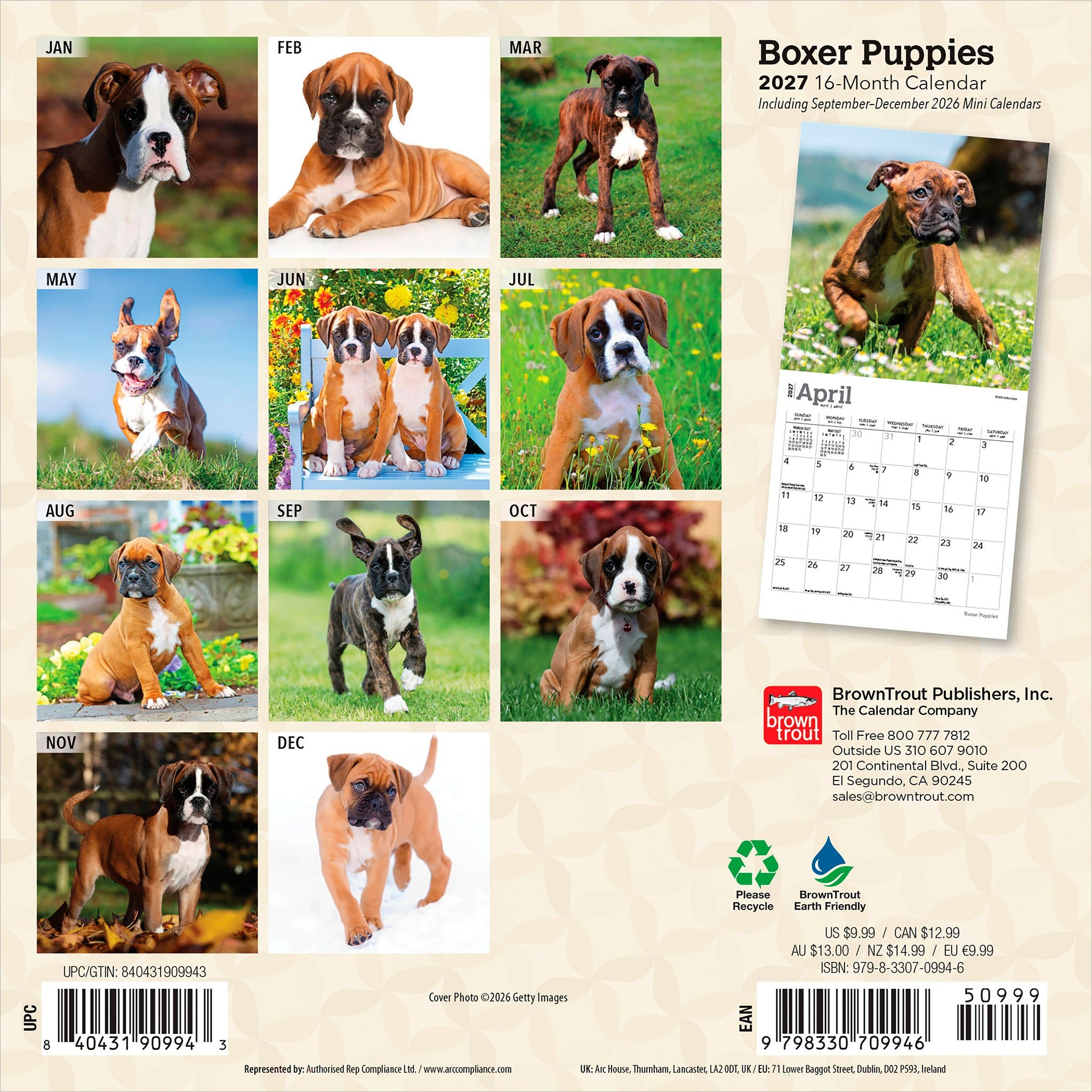 Boxer Puppies 2027 Mini Calendar
