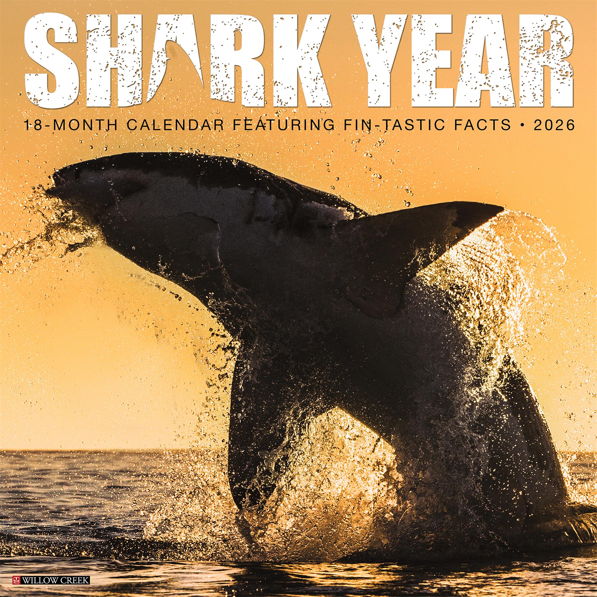 Shark Year 2026 Wall Calendar