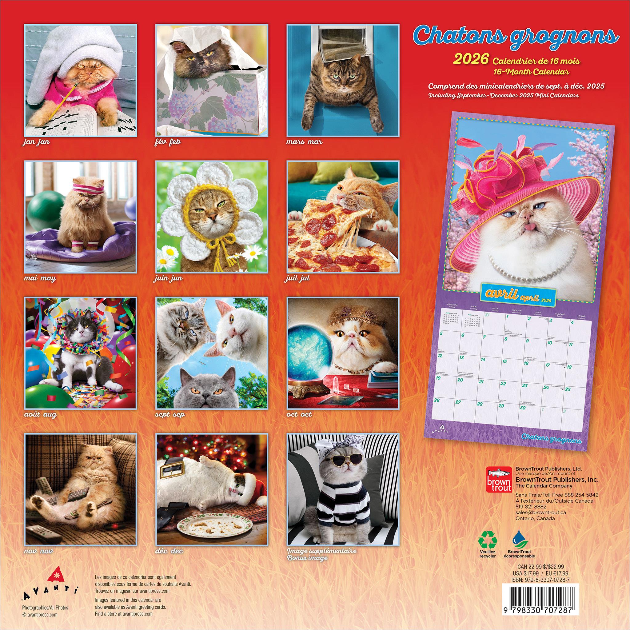 Chatons Grognons 2026 Wall Calendar (French)