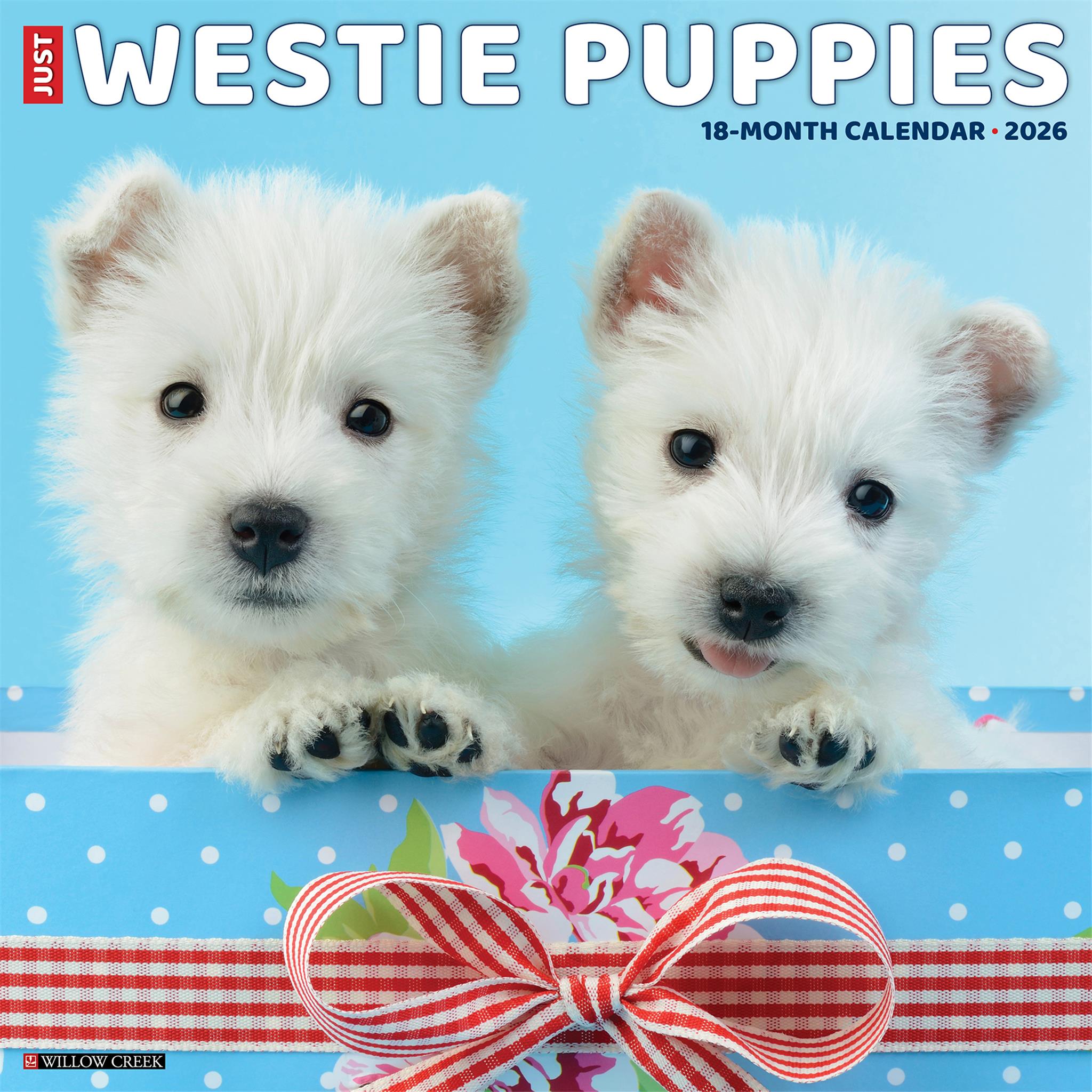 Westie Puppies 2026 Wall Calendar - Online Only