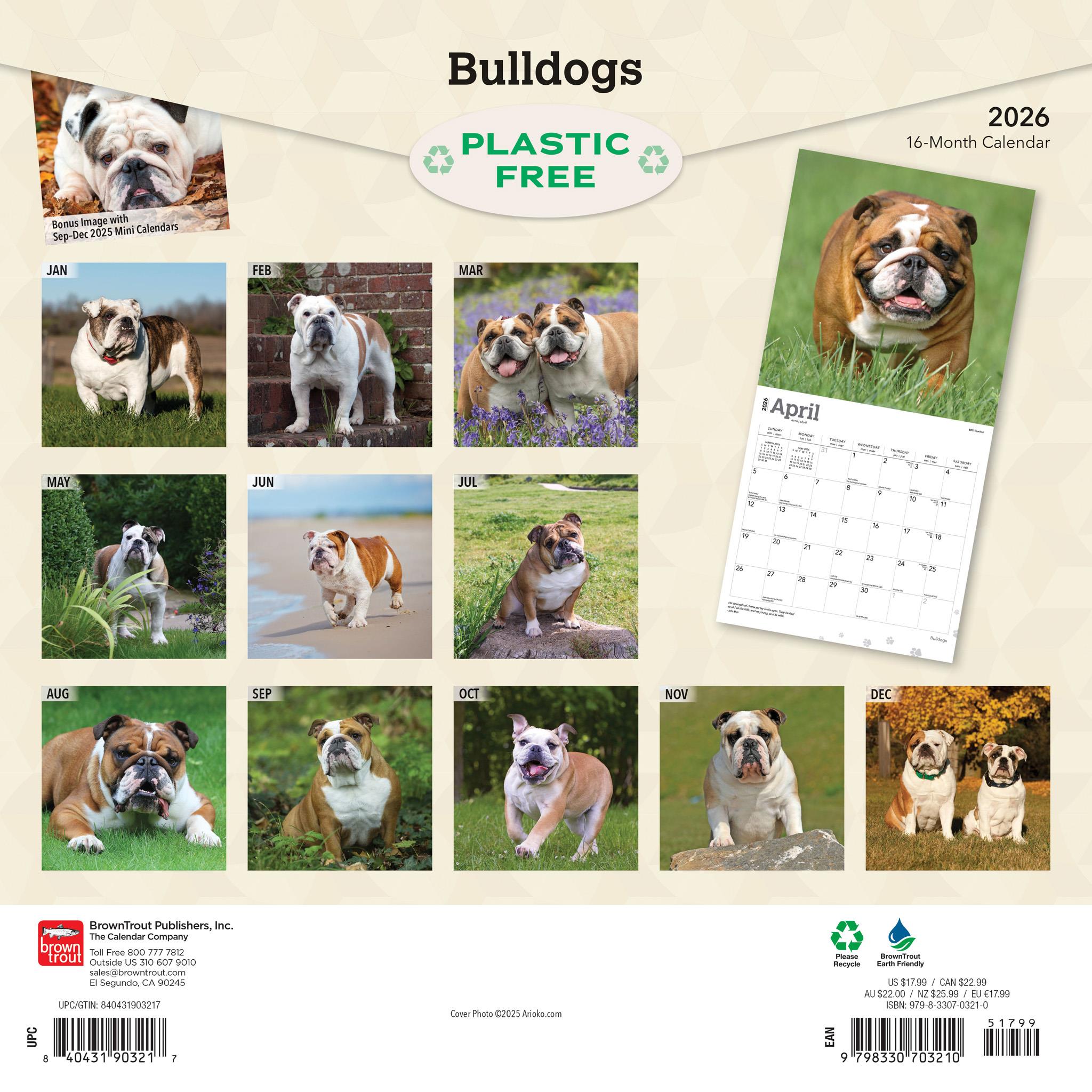 Bulldogs English 2026 Wall Calendar