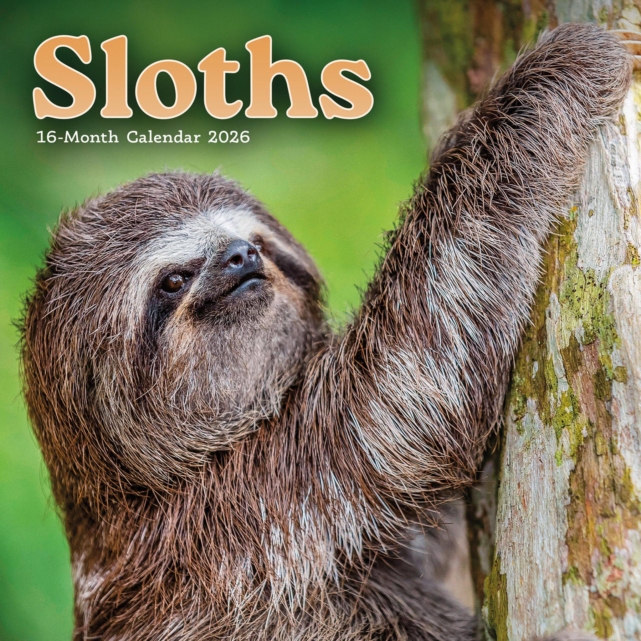 Sloths 2026 Mini Calendar