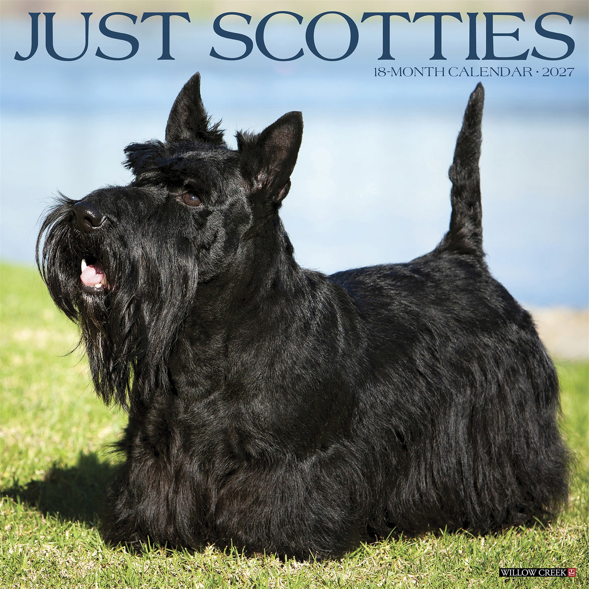 Scotties 2027 Wall Calendar