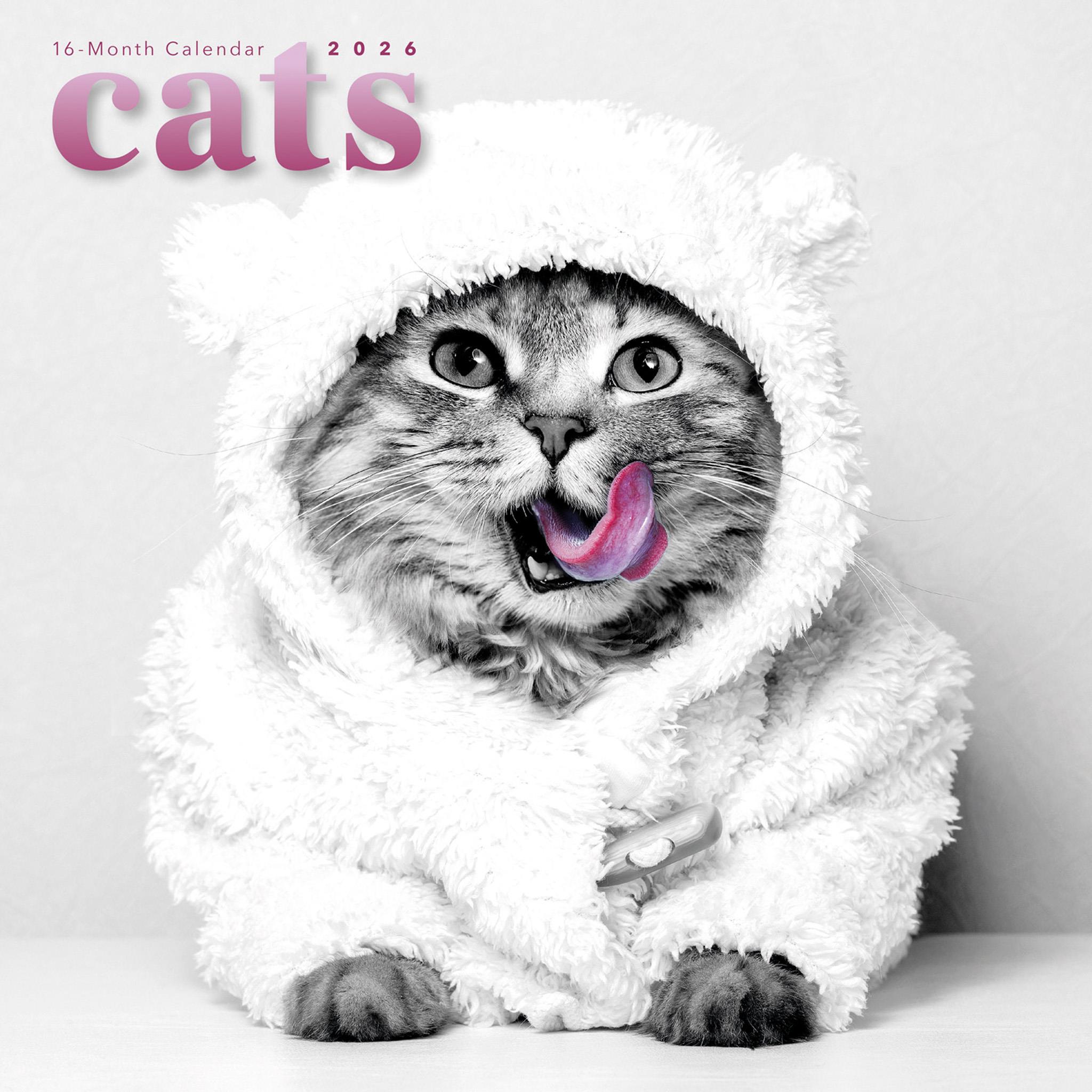 Classic Cats 2026 Wall Calendar