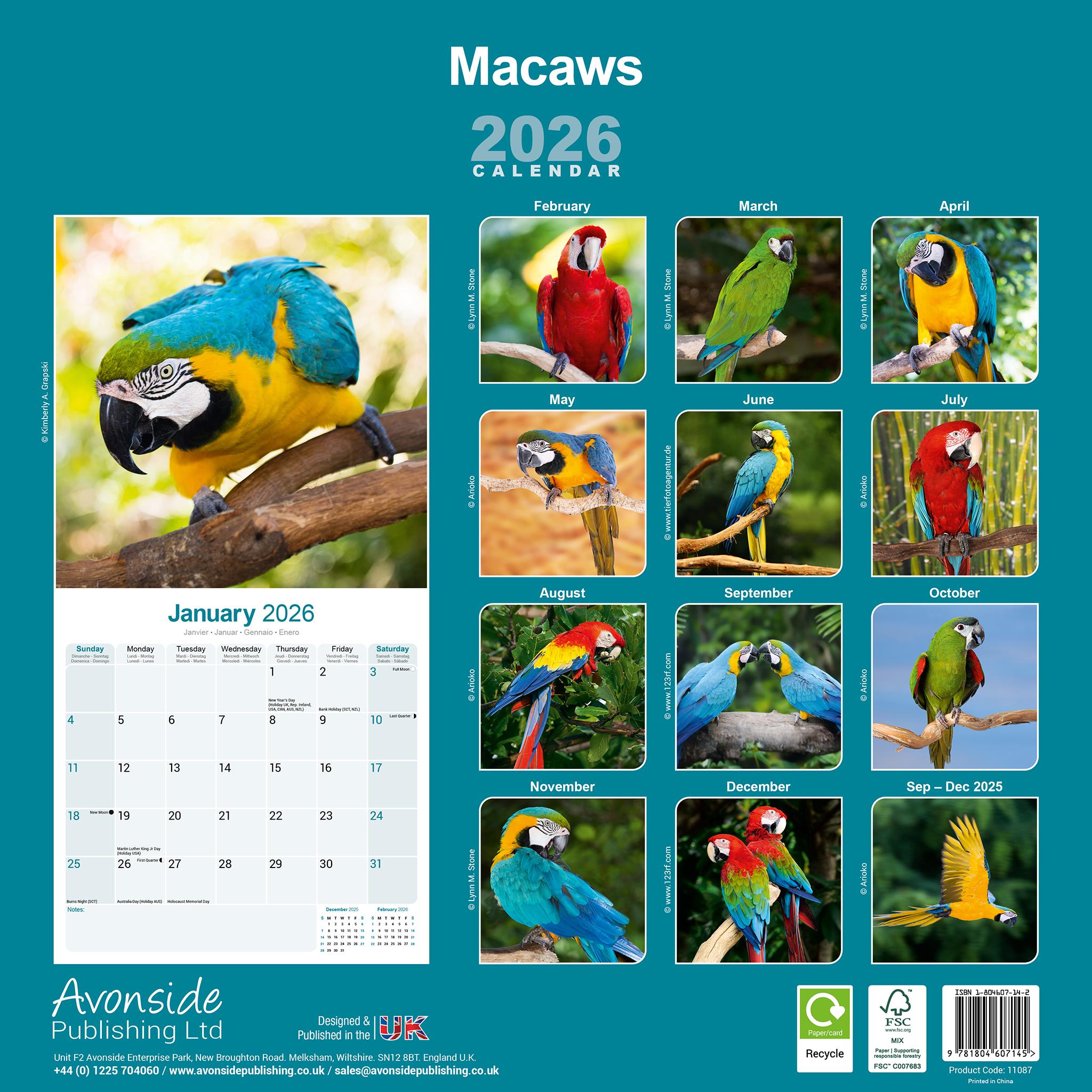 Macaws 2026 Wall Calendar