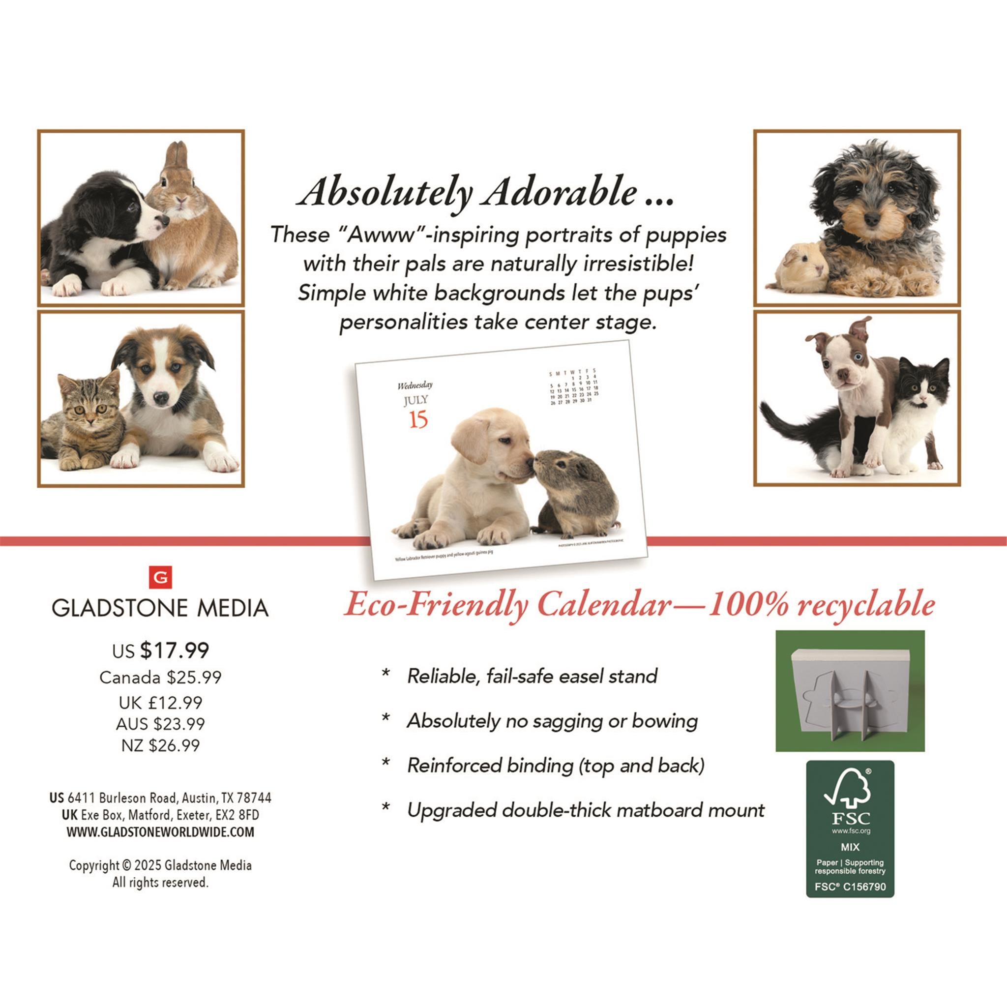 Puppies And Friends 2026 Box Calendar