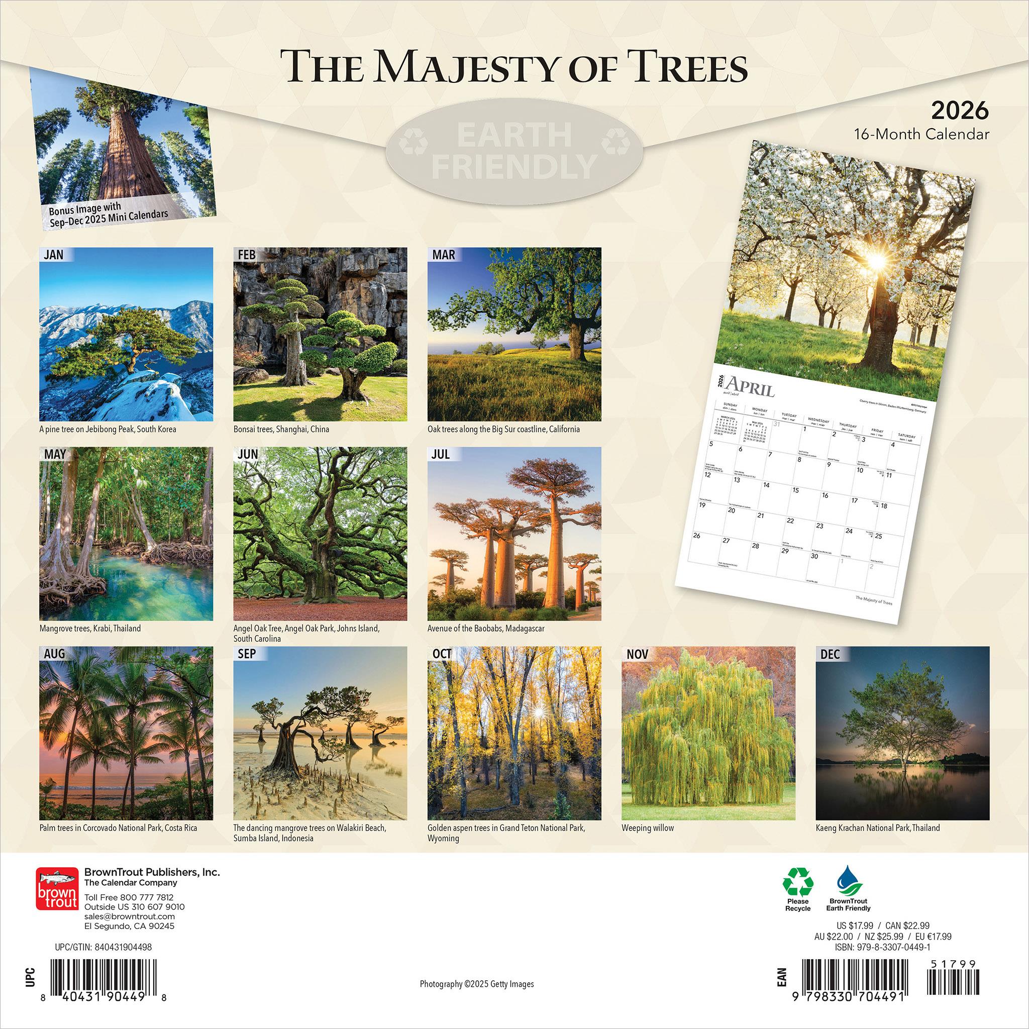 Majesty Of Trees 2026 Wall Calendar - Online Only