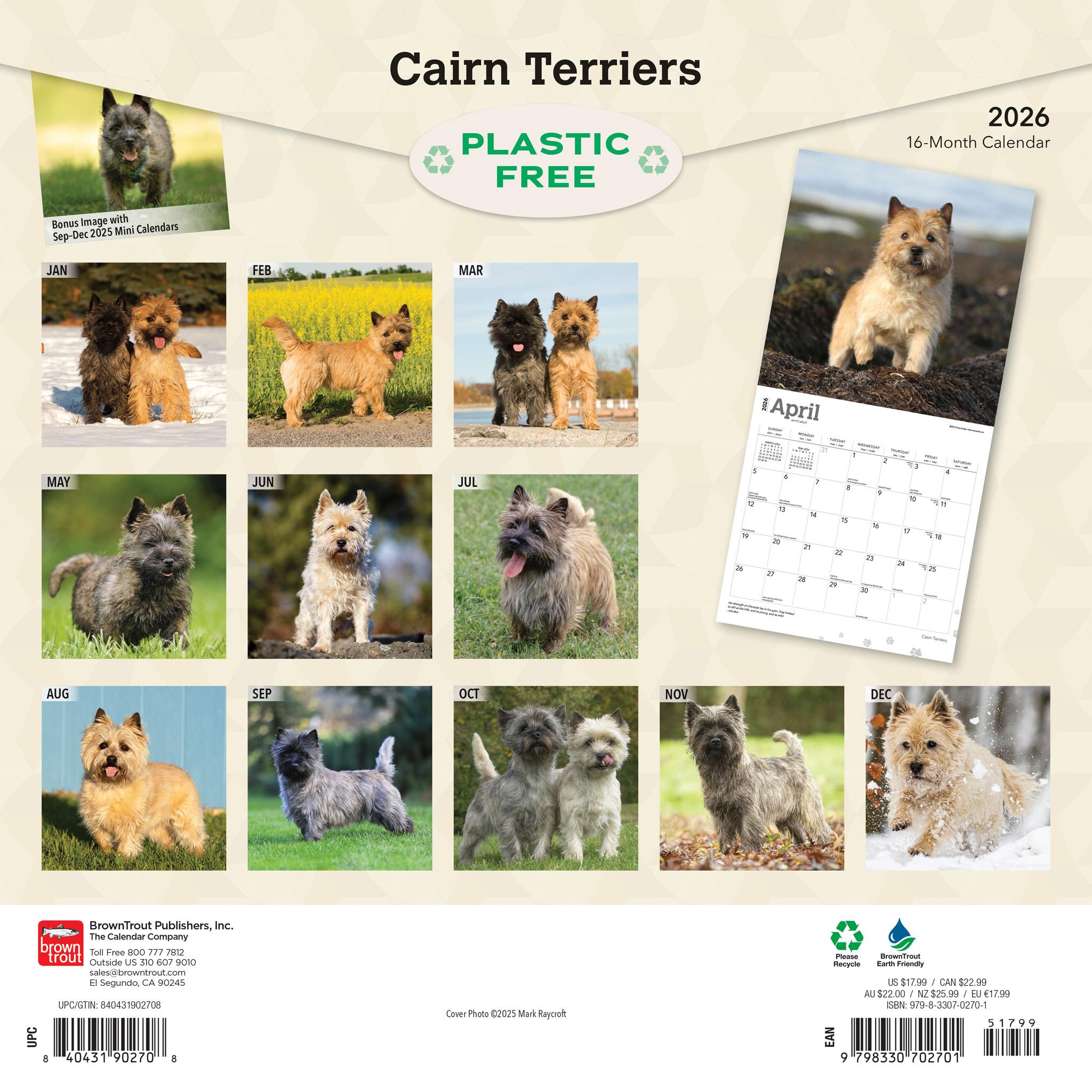Cairn Terriers 2026 Wall Calendar - Calendar Club Canada