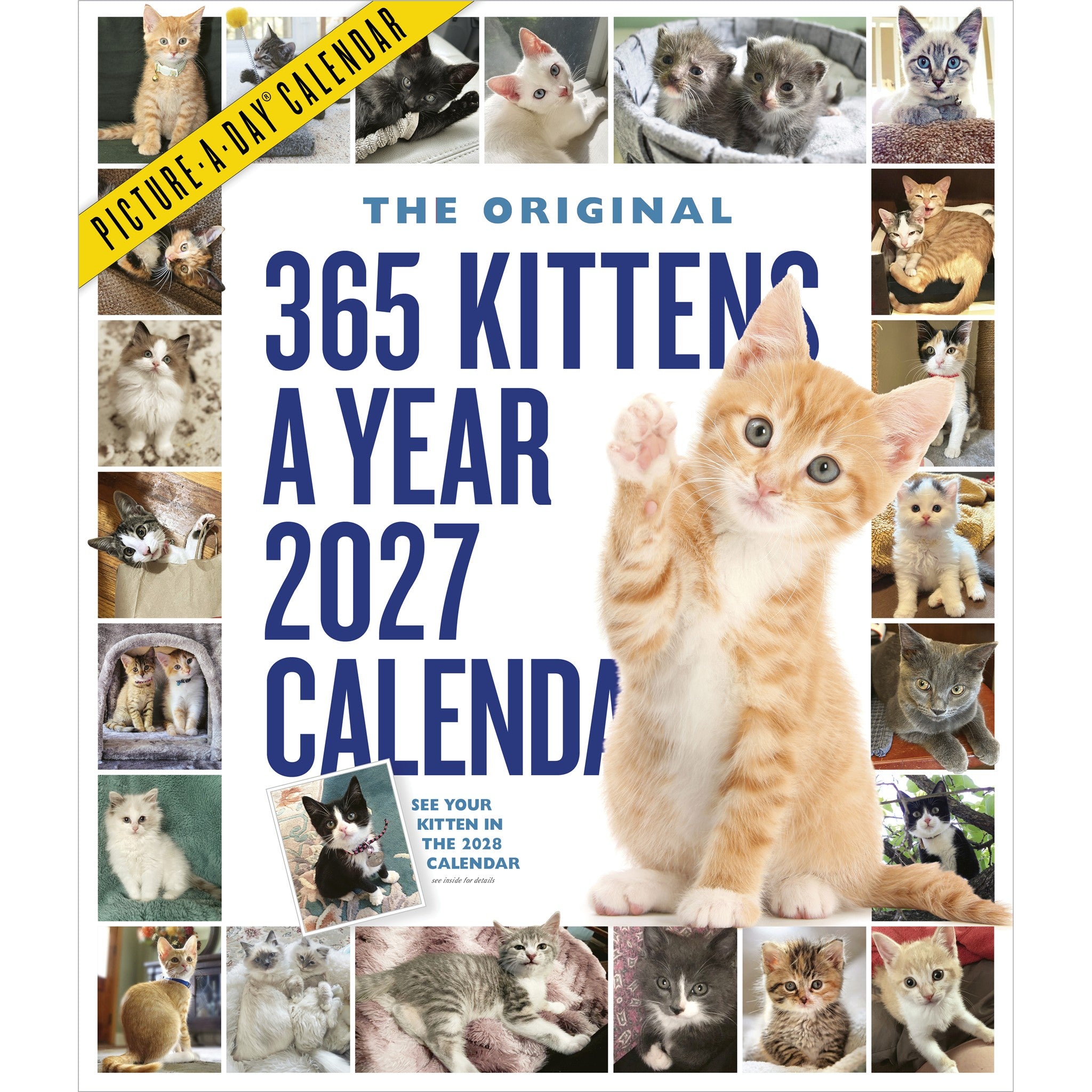 365 Kittens a Year 2027 Wall Calendar