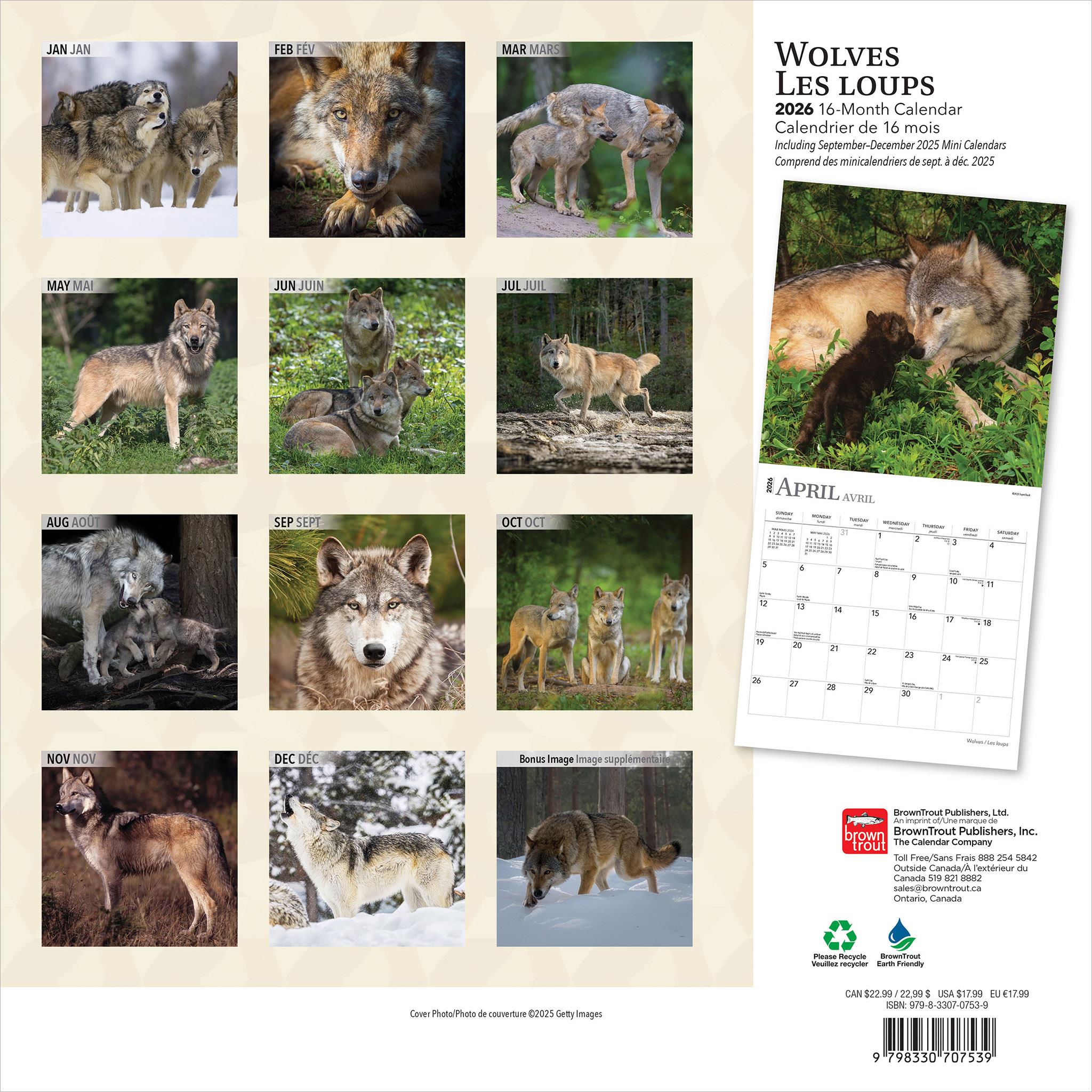 Les Loups 2026 Wall Calendar (French)