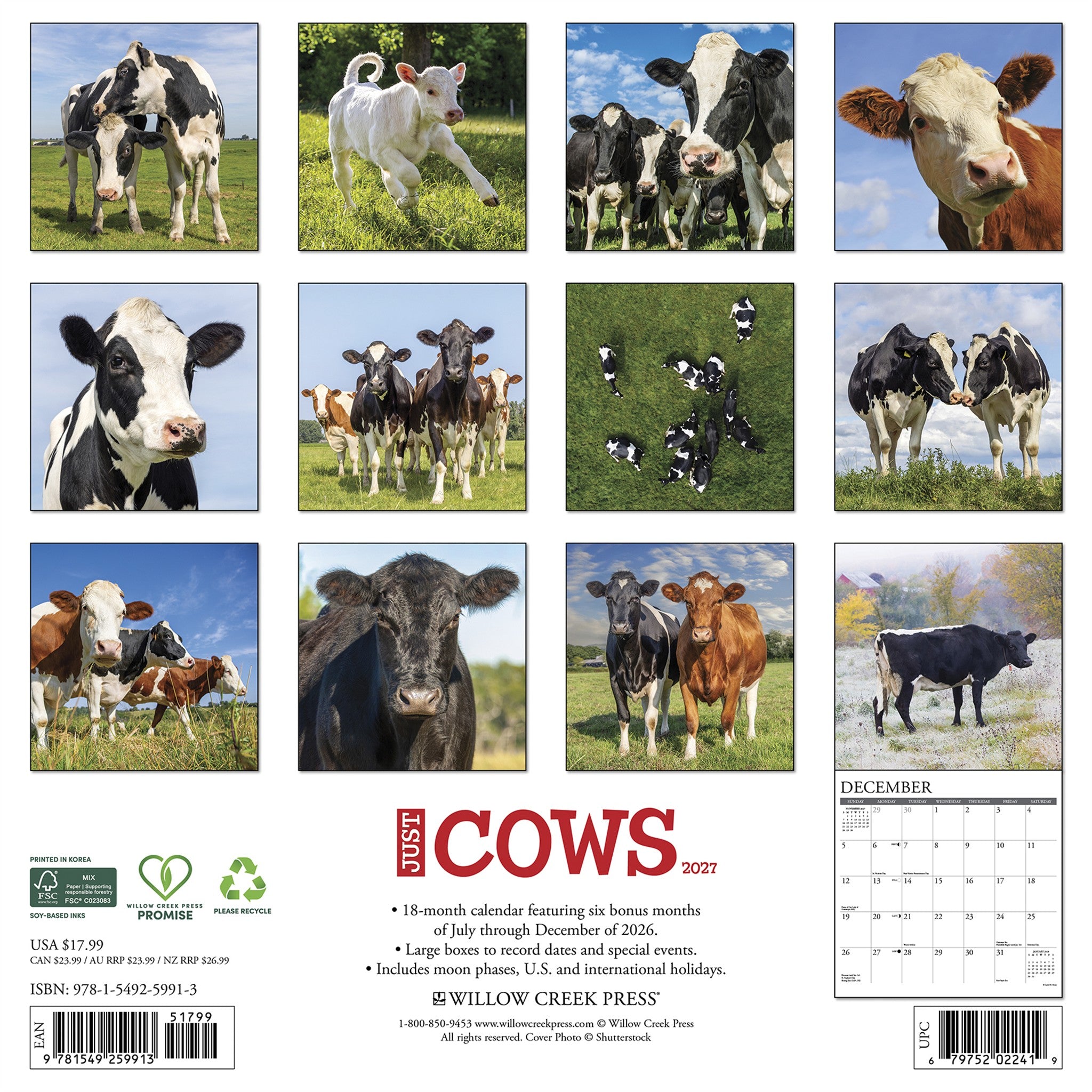 Cows 2027 Wall Calendar