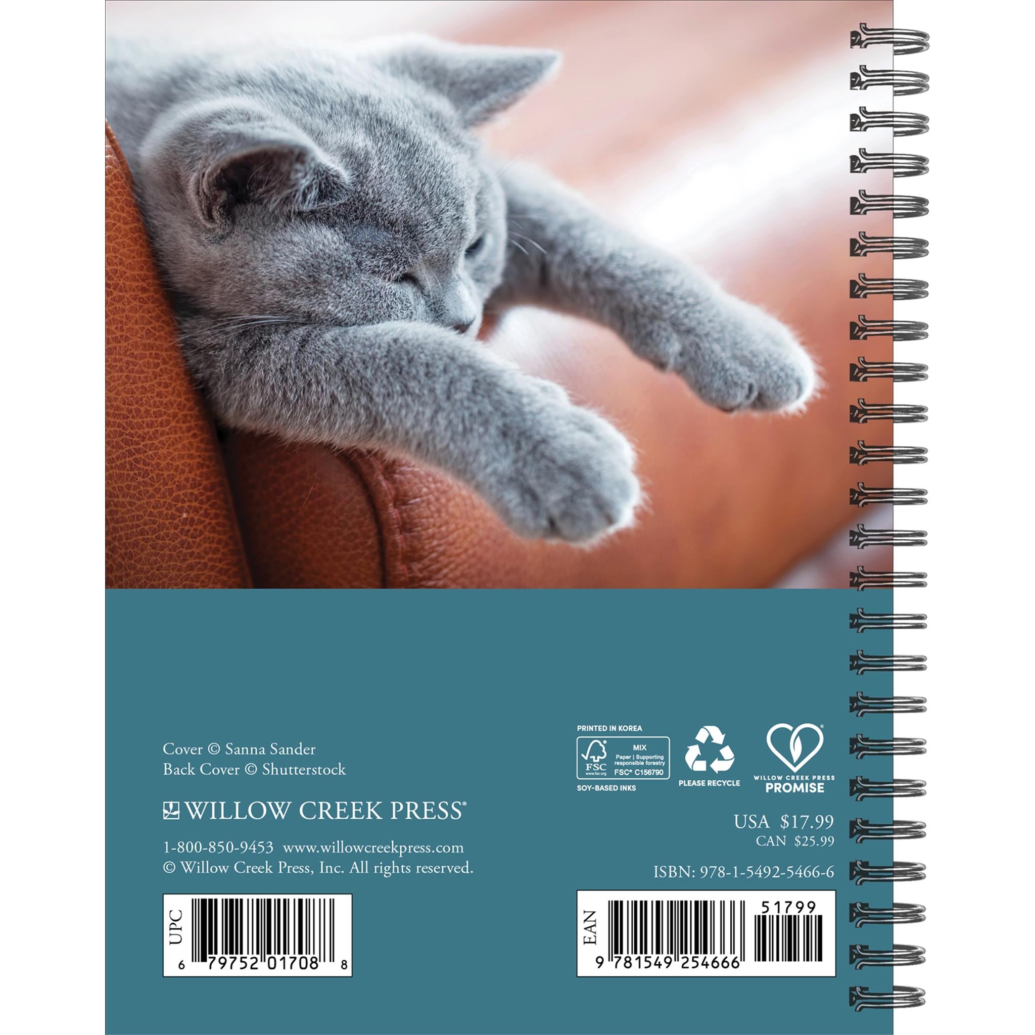 What Cats Teach Us 2026 Engagement Calendar