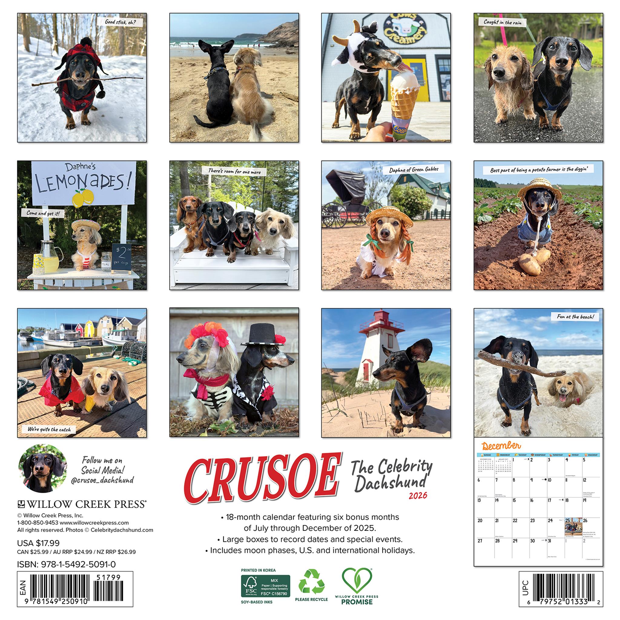 Crusoe The Celebrity Dachshund 2026 Wall Calendar