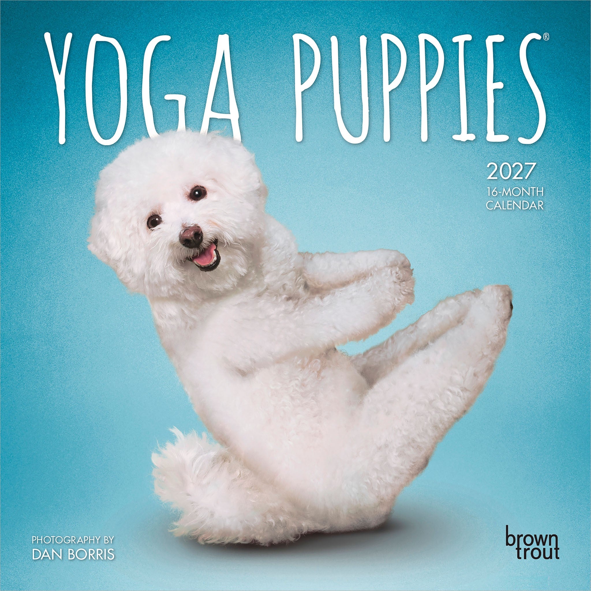 Yoga Puppies 2027 Mini Calendar