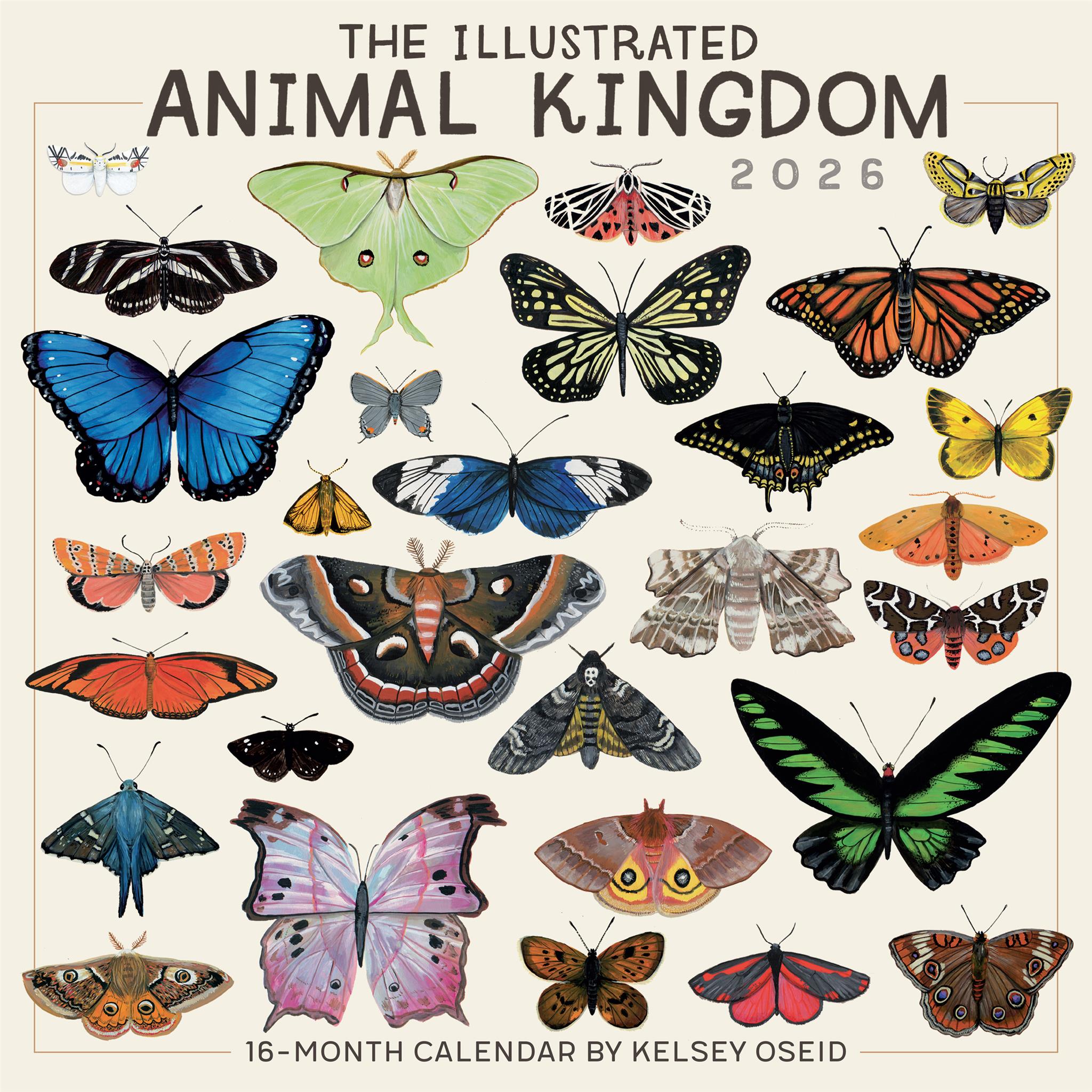 Illustrated Animal Kingdom 2026 Wall Calendar - Online Only