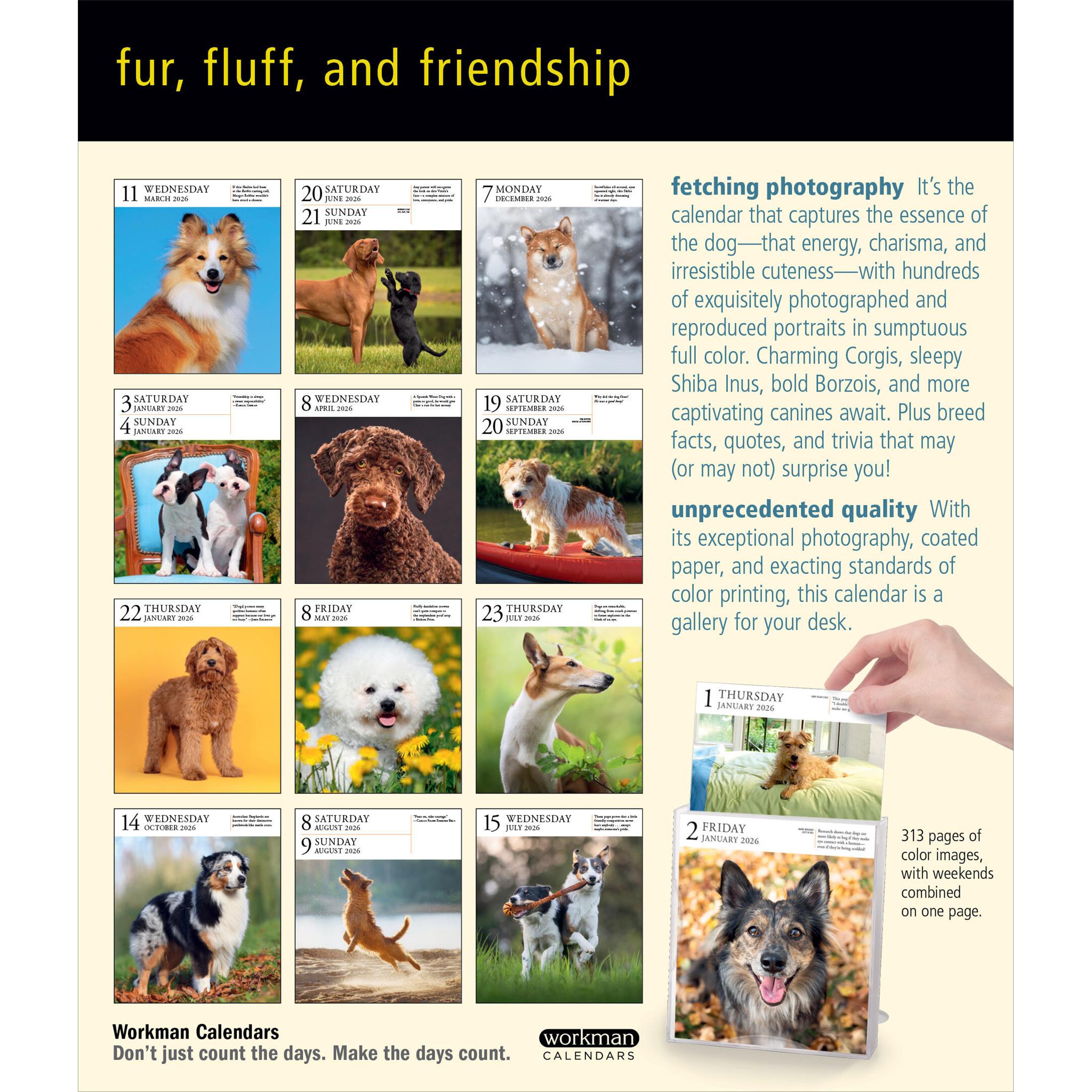 Dog Gallery 2026 Box Calendar
