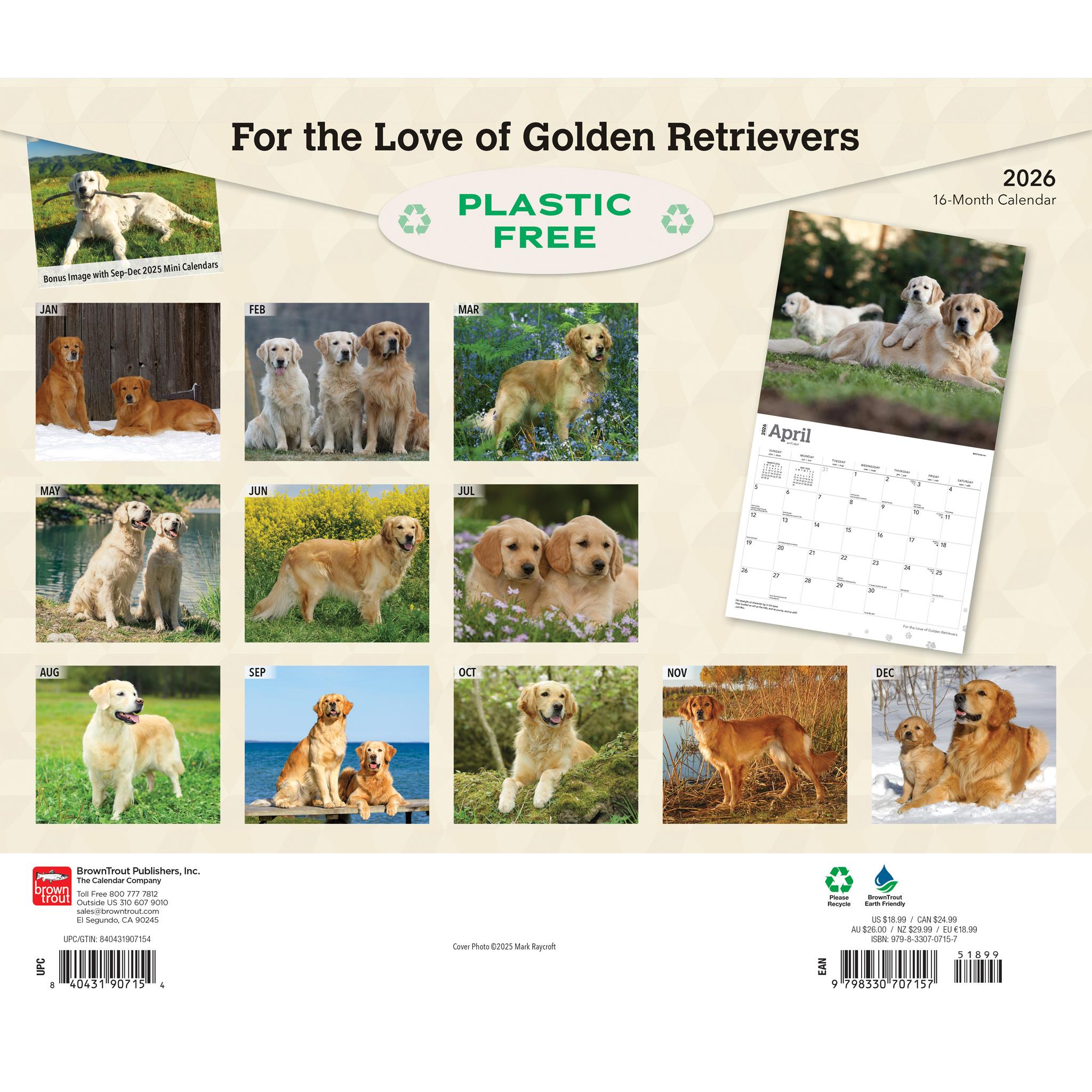 For The Love Of Golden Retrievers 2026 Wall Calendar - Calendar Club Canada