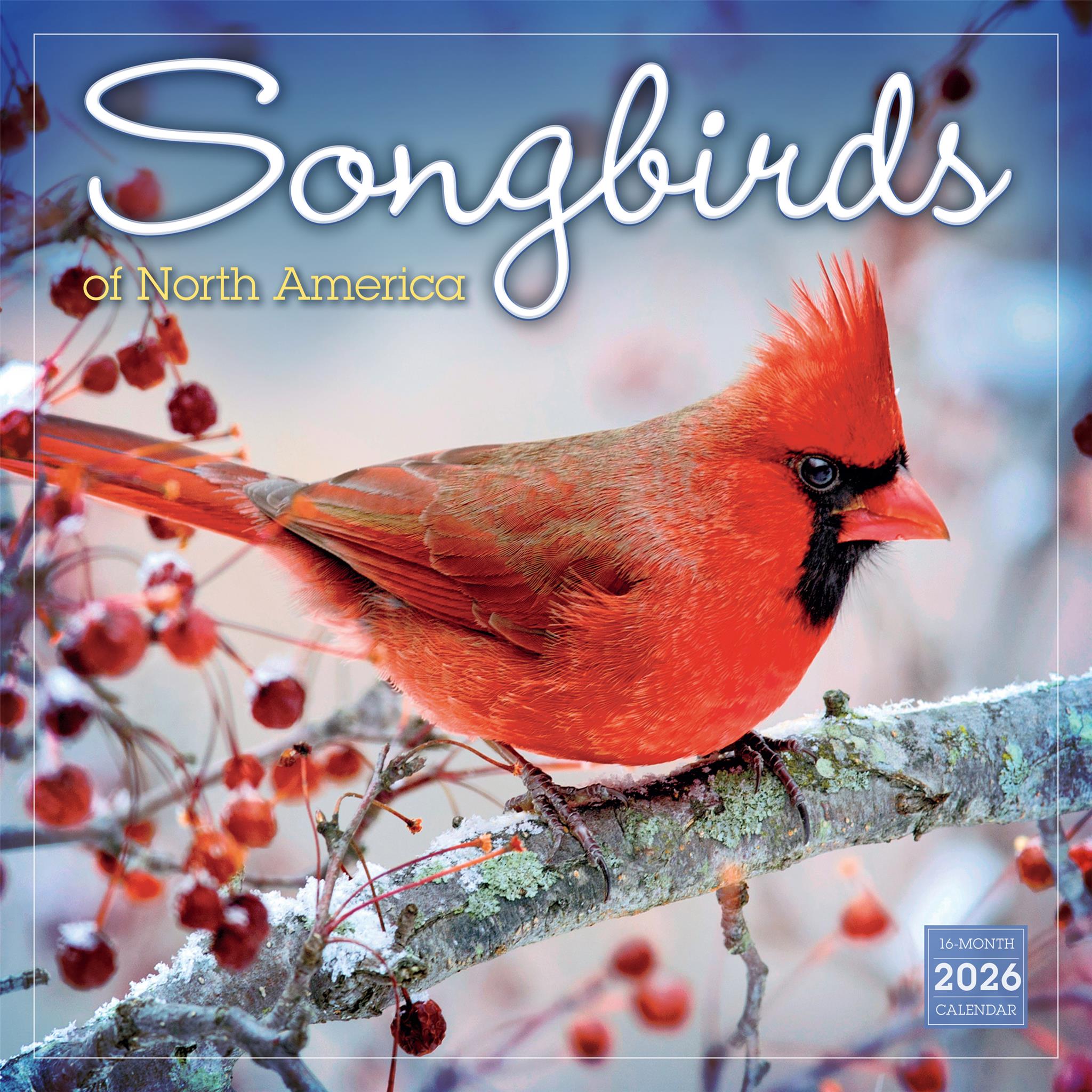 Songbirds Of North America 2026 Wall Calendar