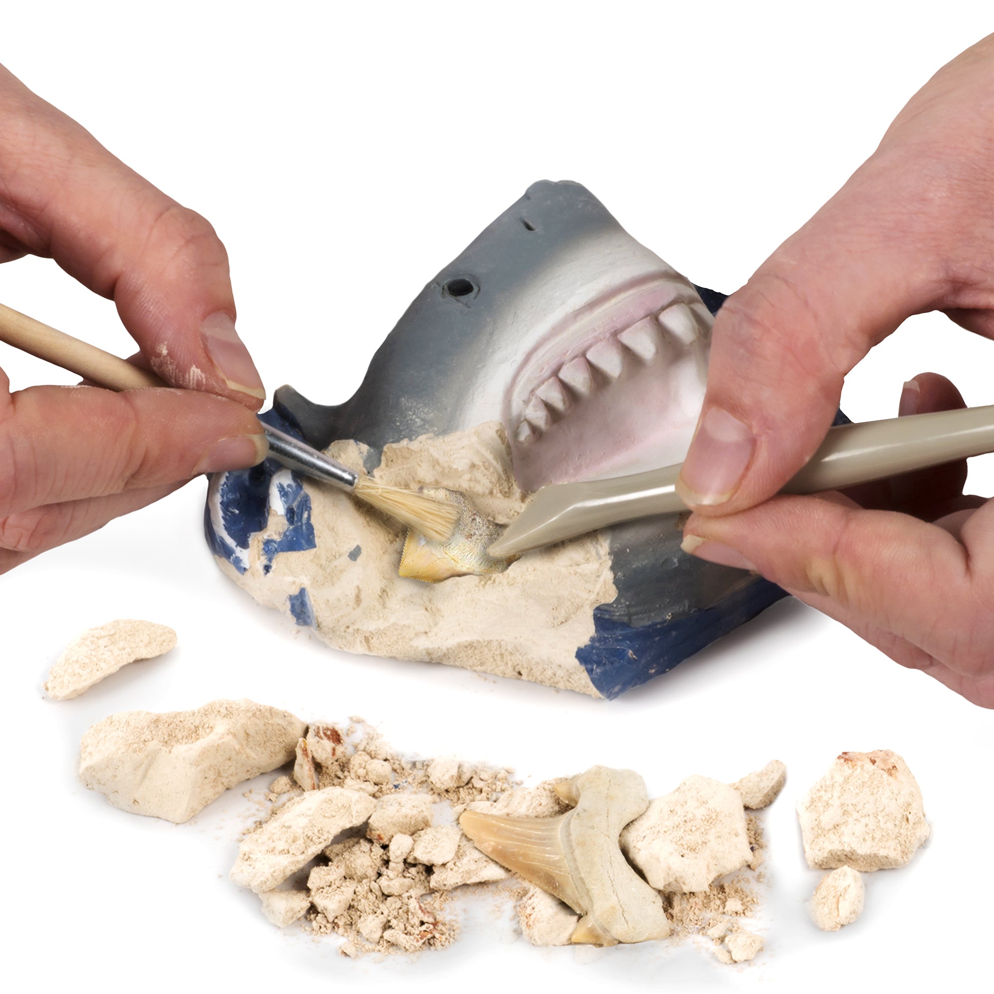 National Geographic Shark Tooth Dig Kit