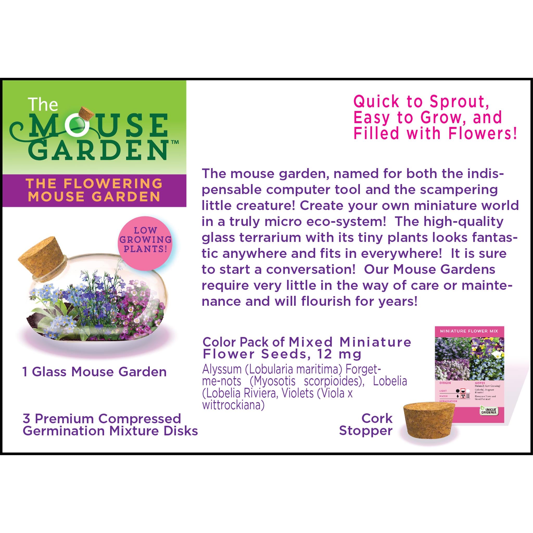 The Flowering Mouse Terrarium