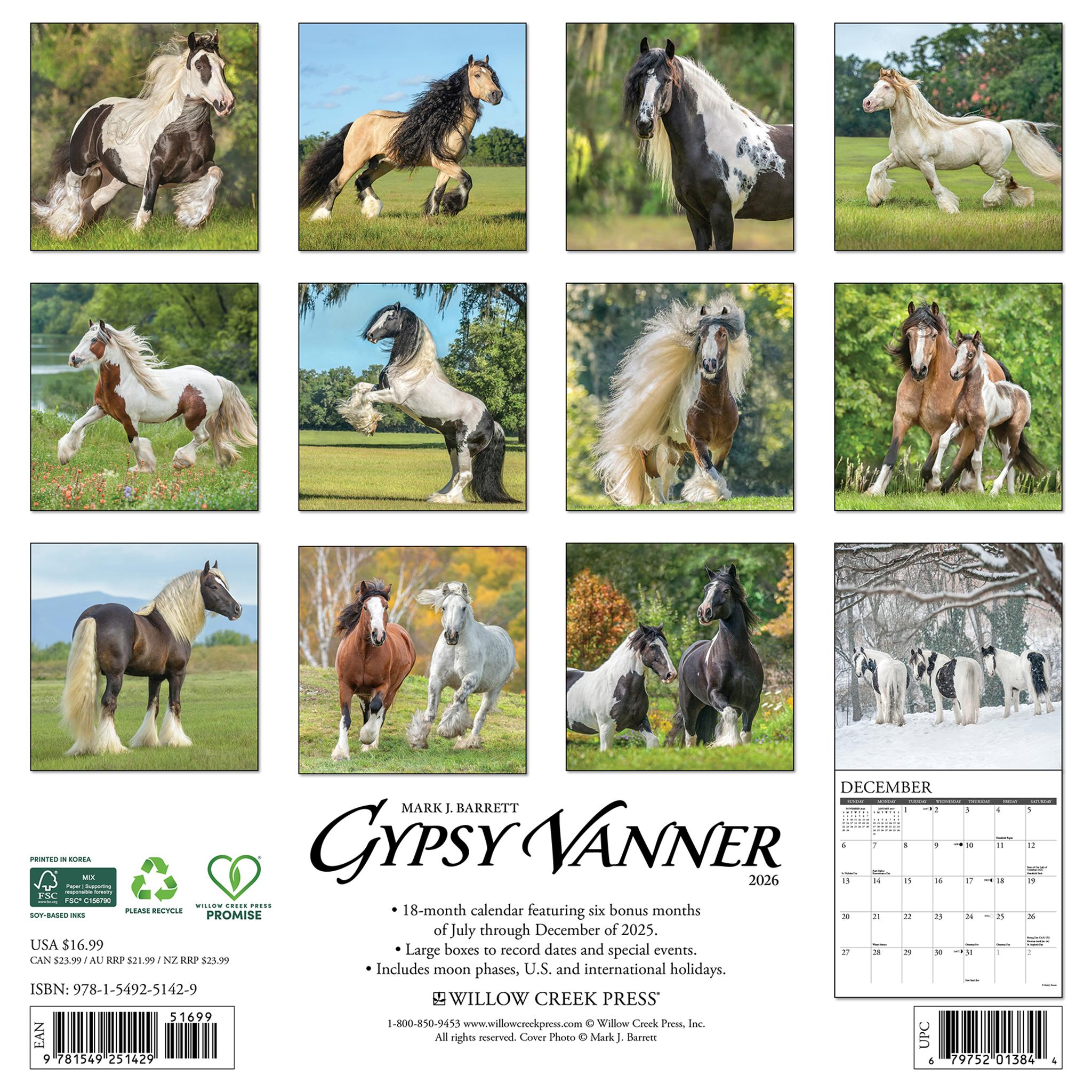 Gypsy Vanner Horse 2026 Wall Calendar