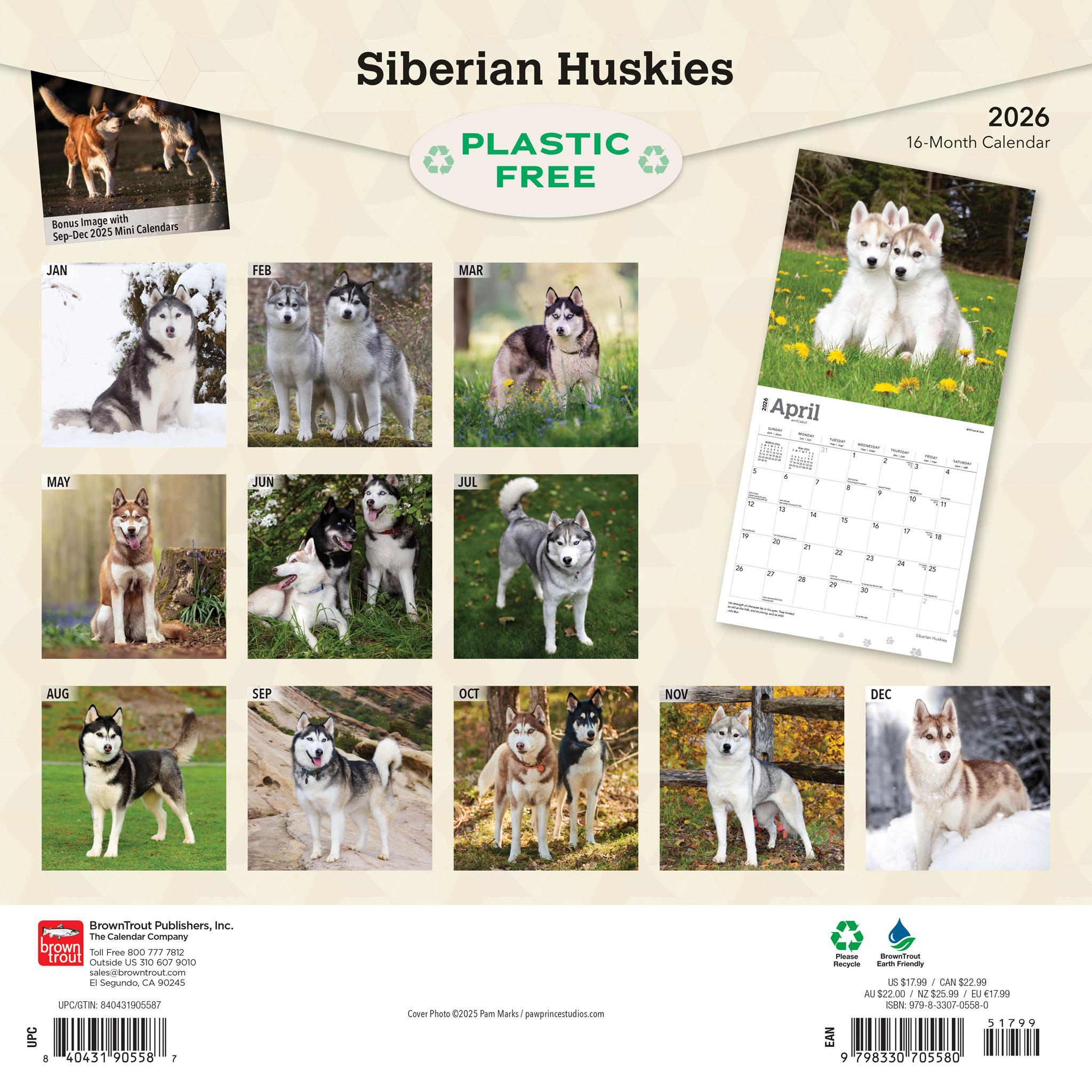 Siberian Huskies 2026 Wall Calendar