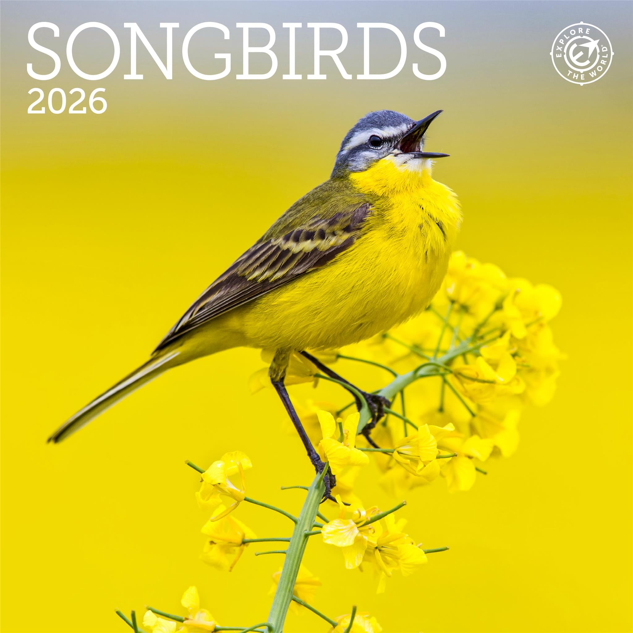 Songbirds 2026 Mini Calendar