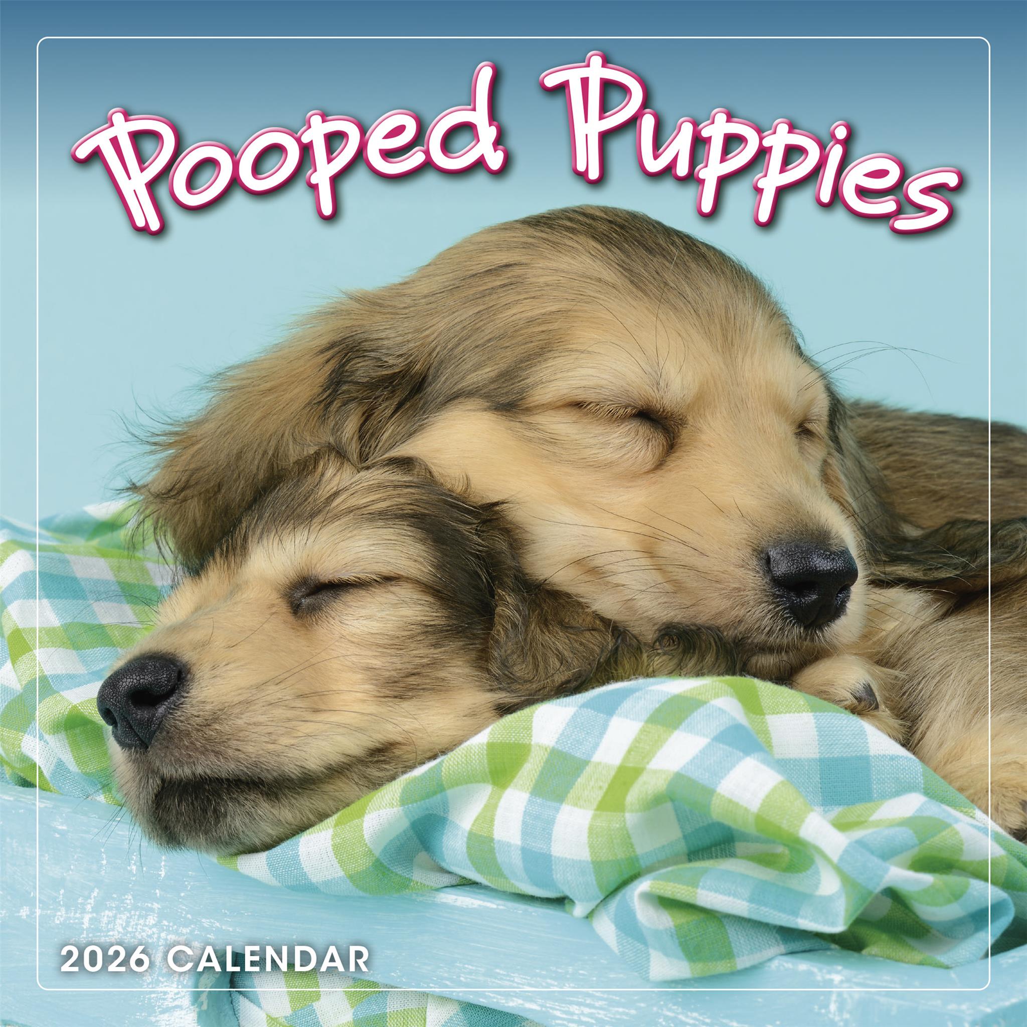 Pooped Puppies 2026 Mini Calendar