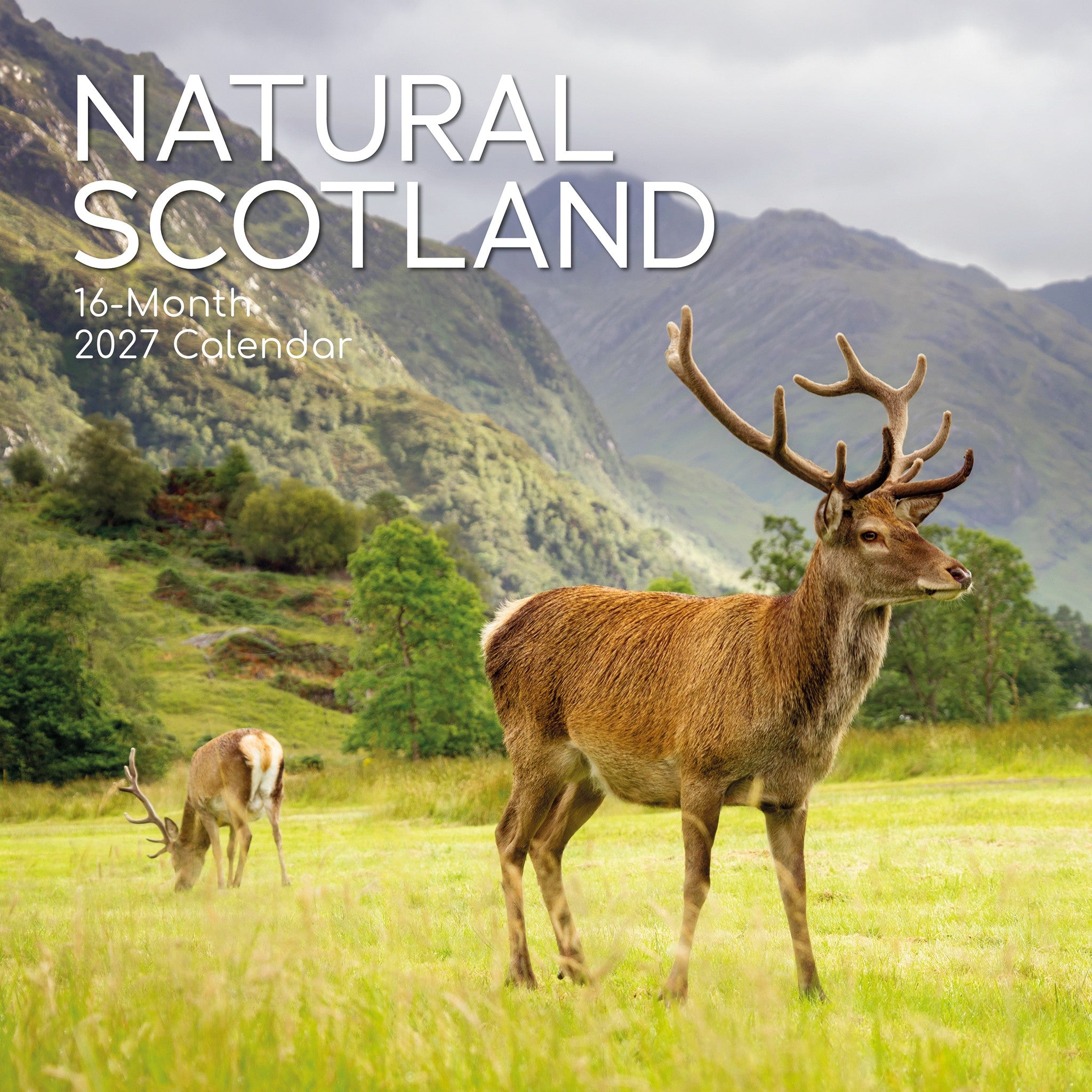 Scotland 2027 Wall Calendar