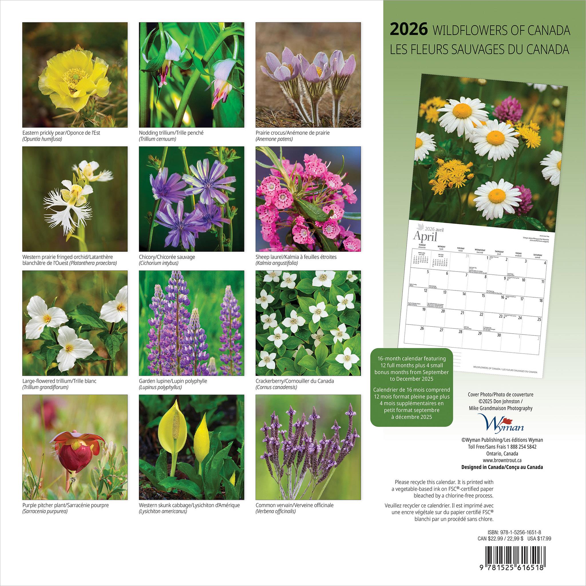 Wildflowers Of Canada 2026 Wall Calendar