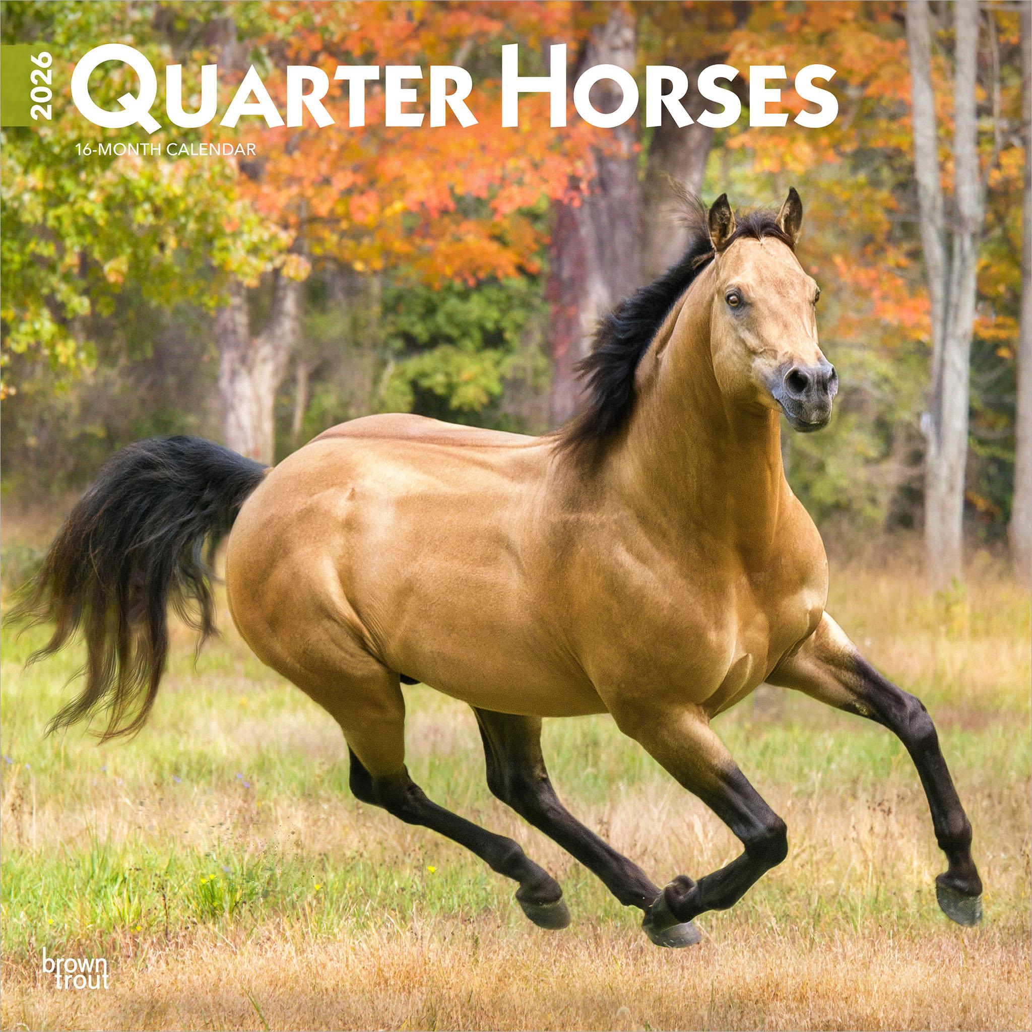 Quarter Horses 2026 Wall Calendar - Online Only