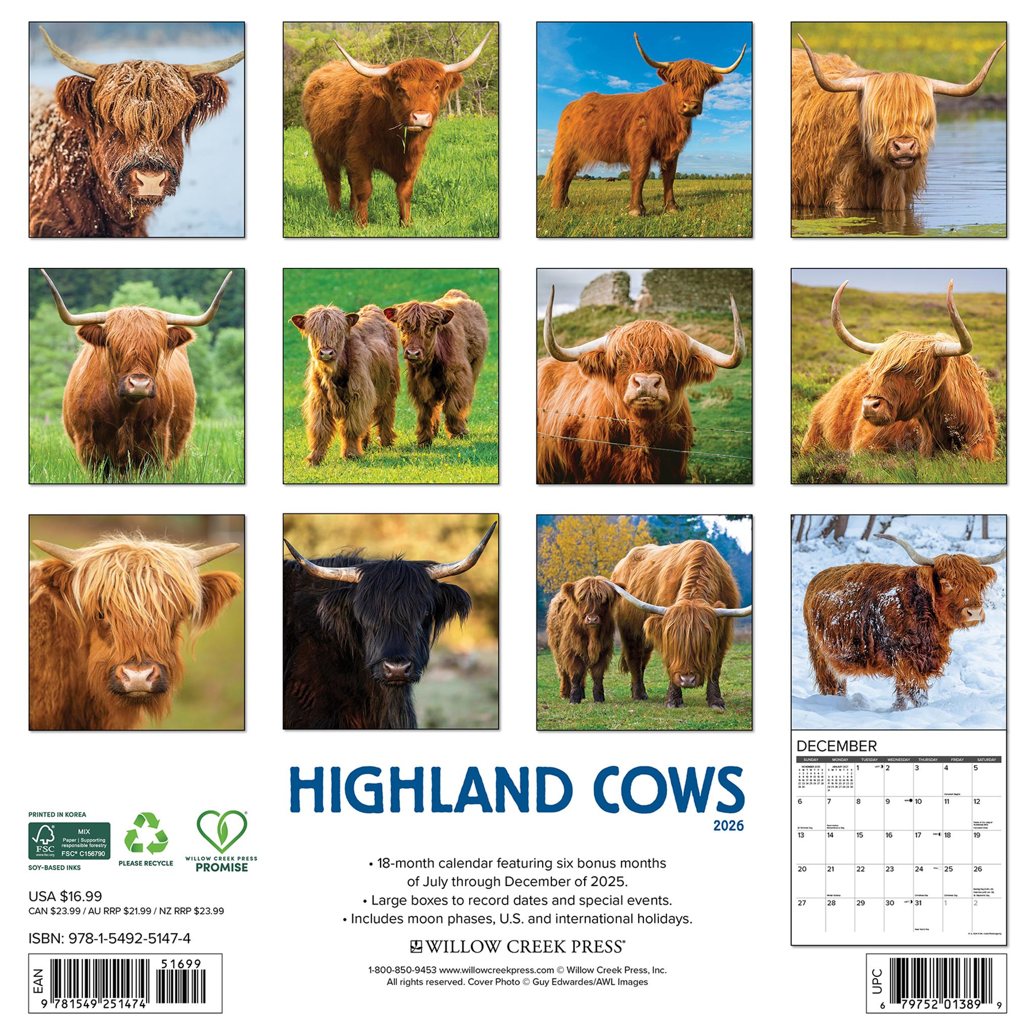 Highland Cows 2026 Wall Calendar - Online Only