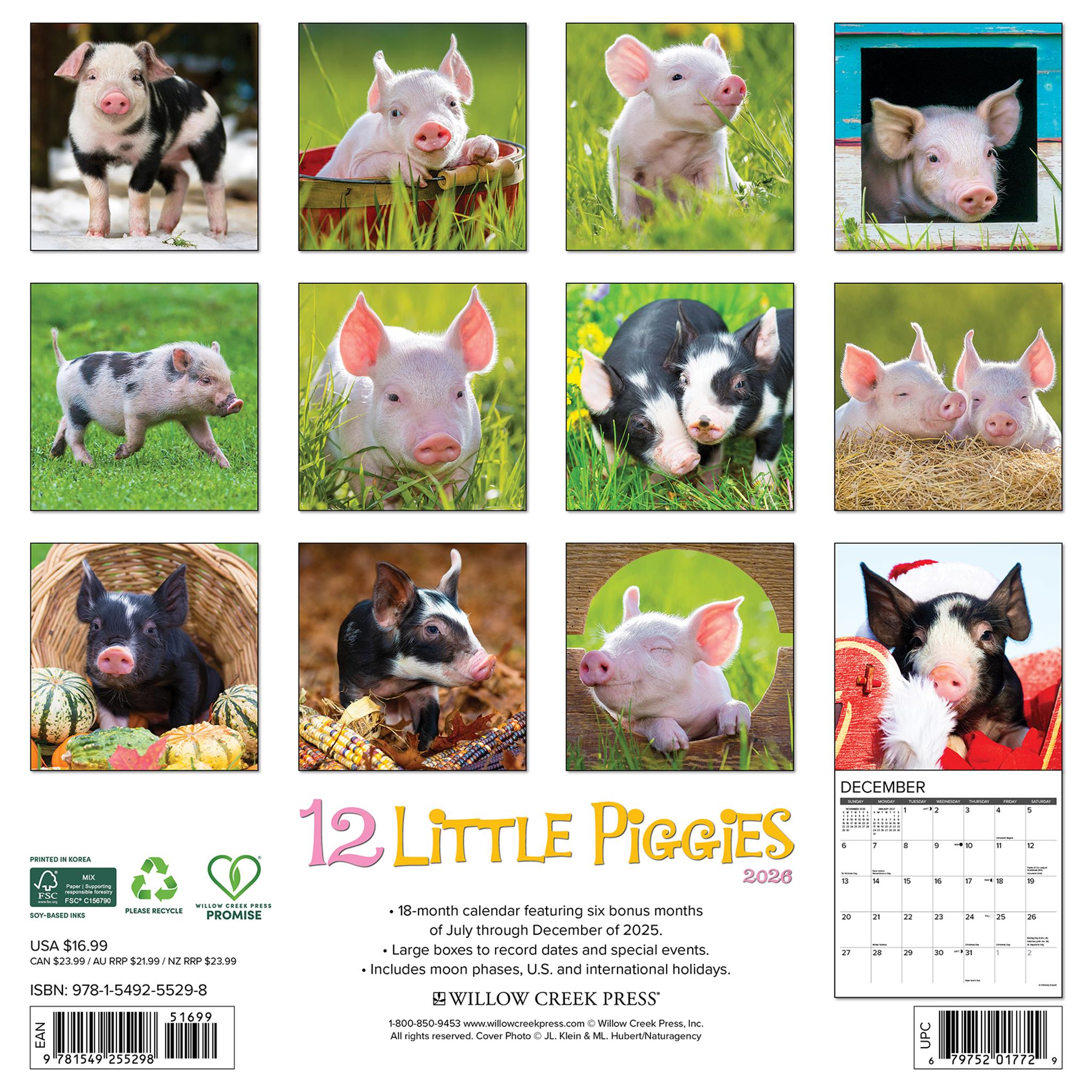 12 Little Piggies 2026 Wall Calendar - Online Only