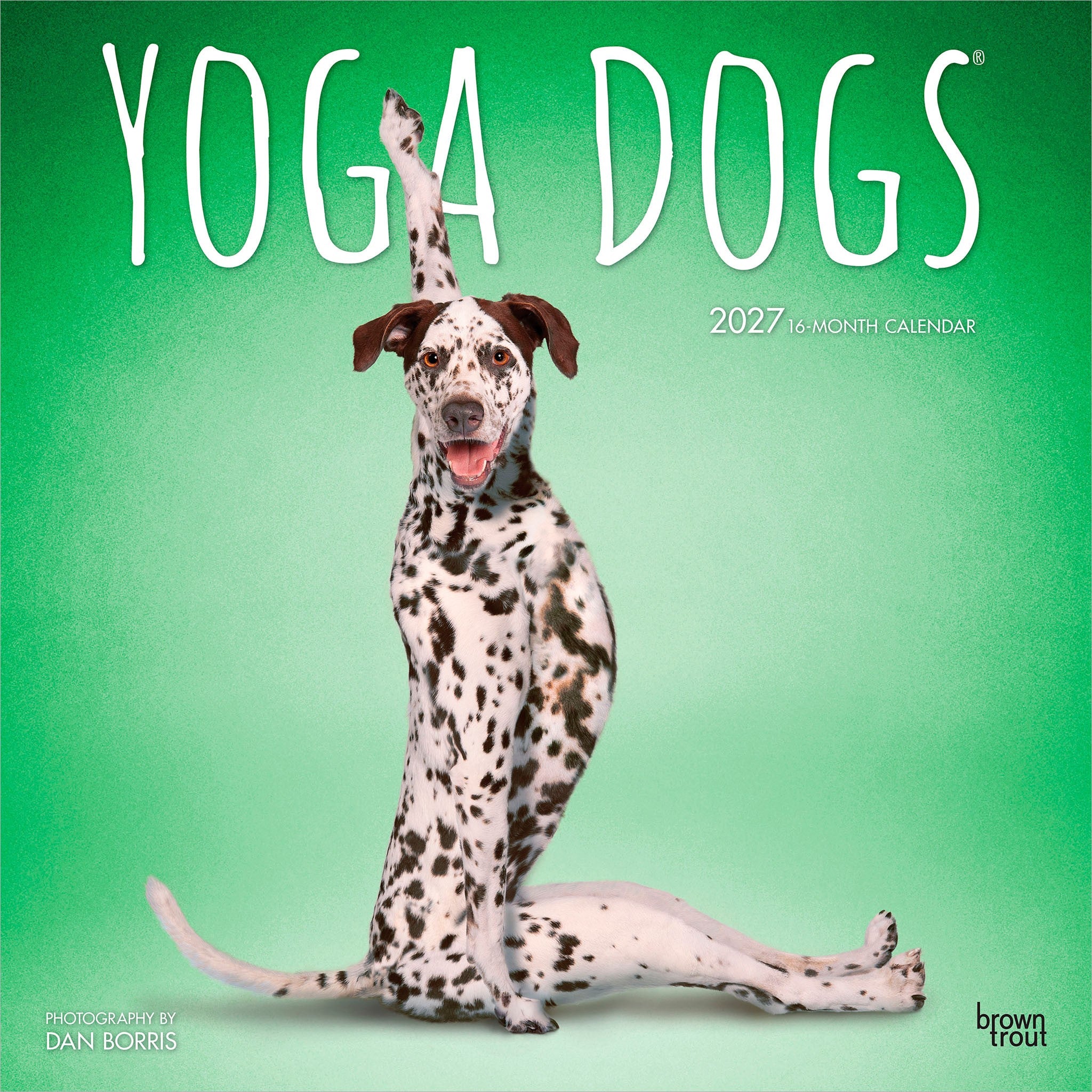 Yoga Dogs 2027 Wall Calendar