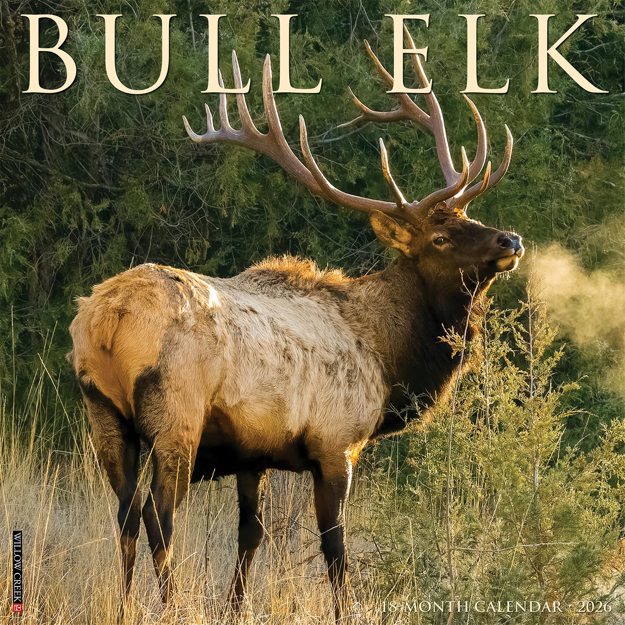 Bull Elk 2026 Wall Calendar