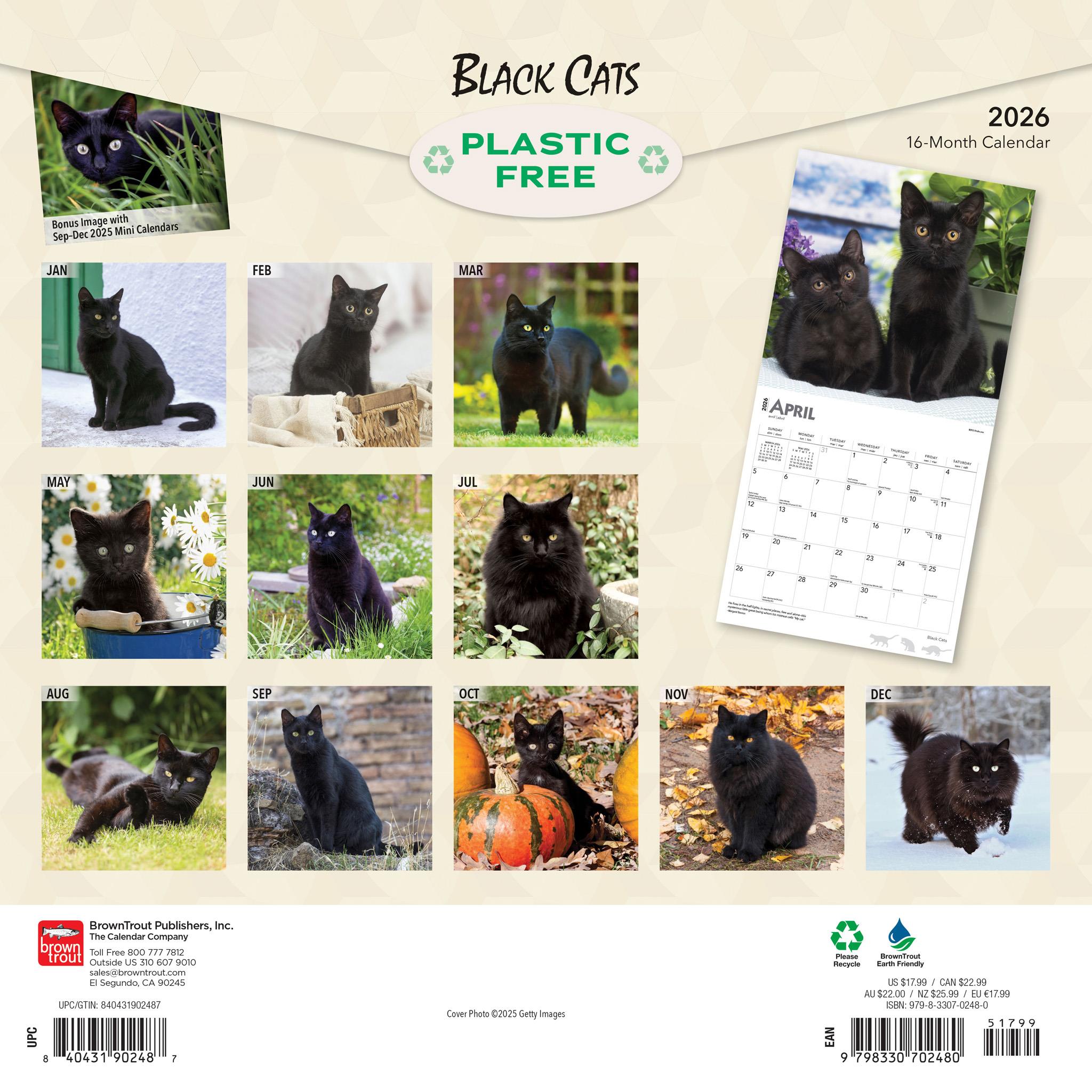 Black Cats 2026 Wall Calendar
