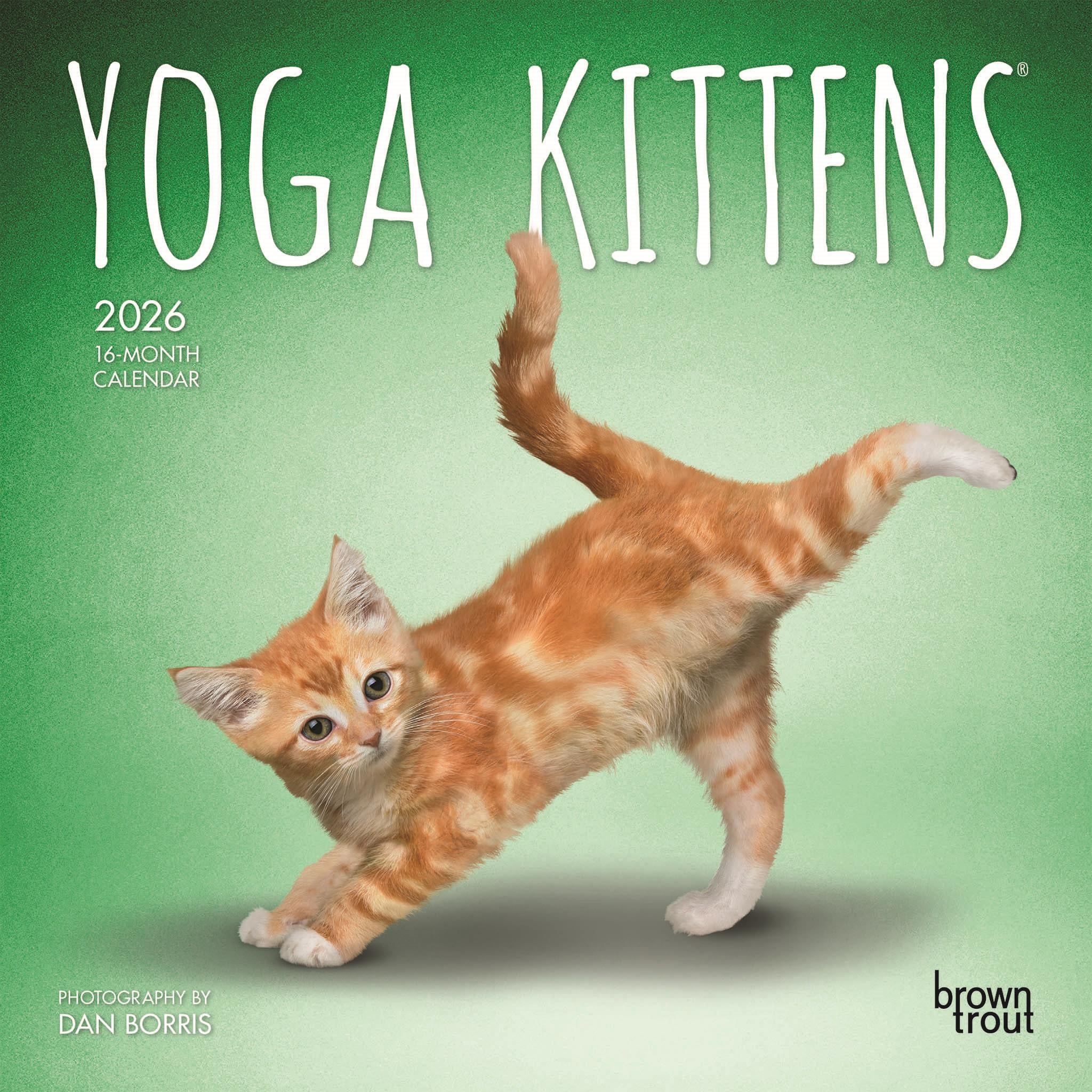 Yoga Kittens 2026 Mini Calendar