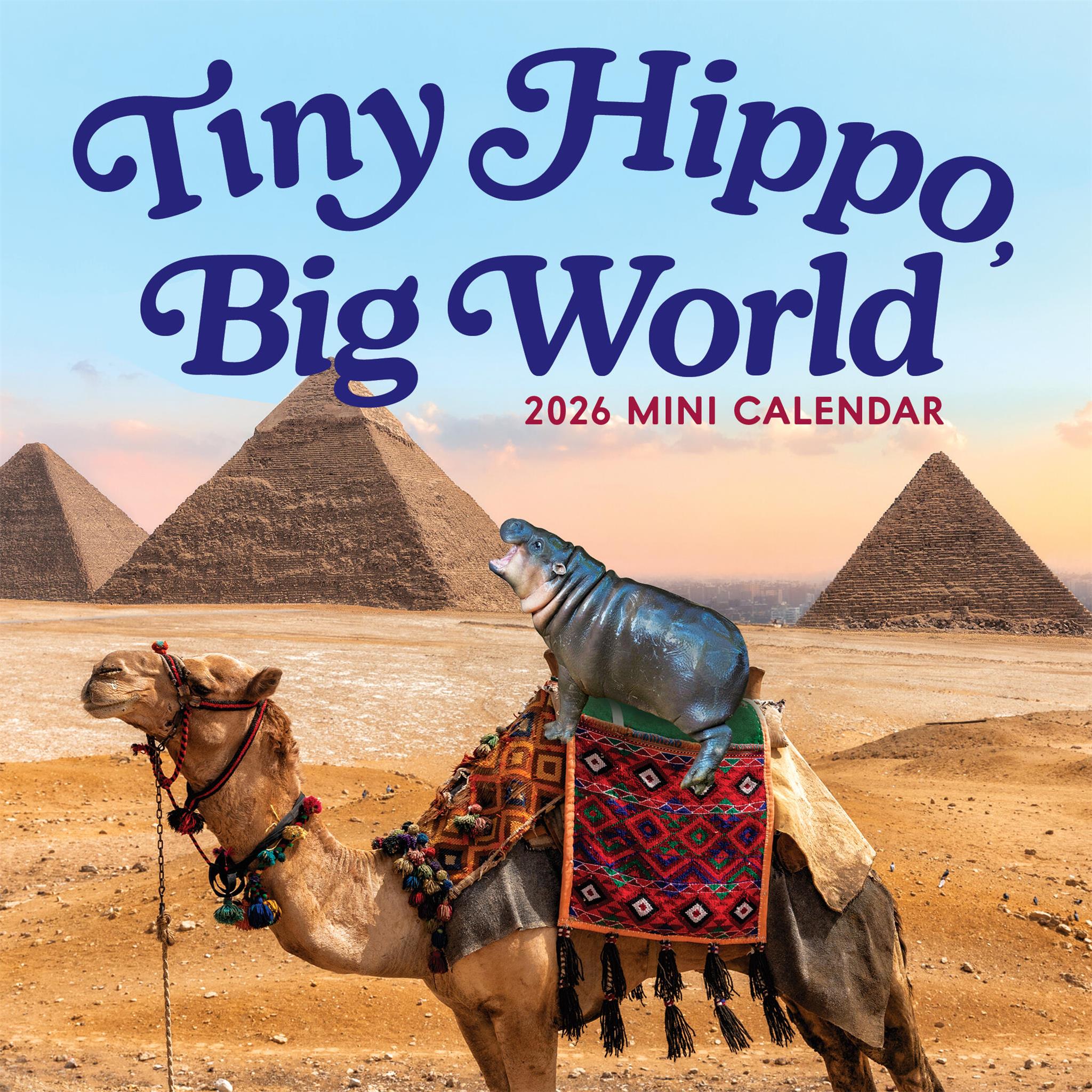 Tiny Hippo Big World 2026 Mini Calendar