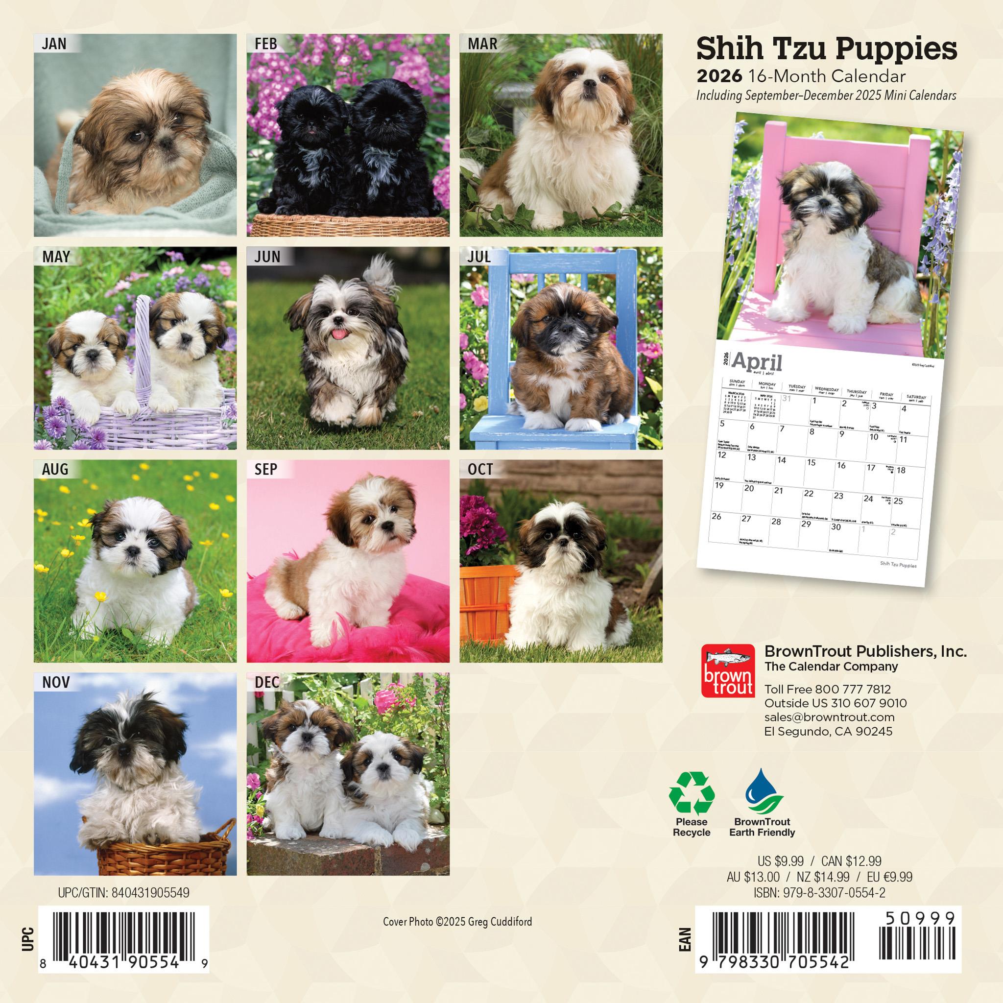 Shih Tzu Puppies 2026 Mini Calendar