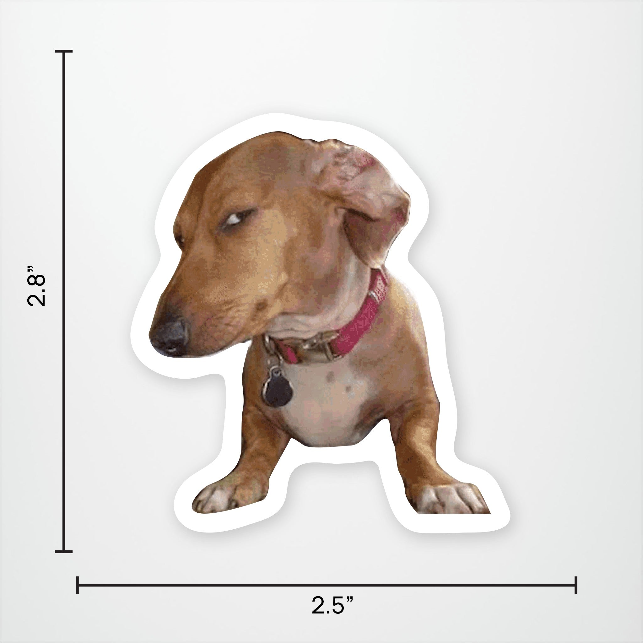 Side Eye Dog Vinyl Sticker