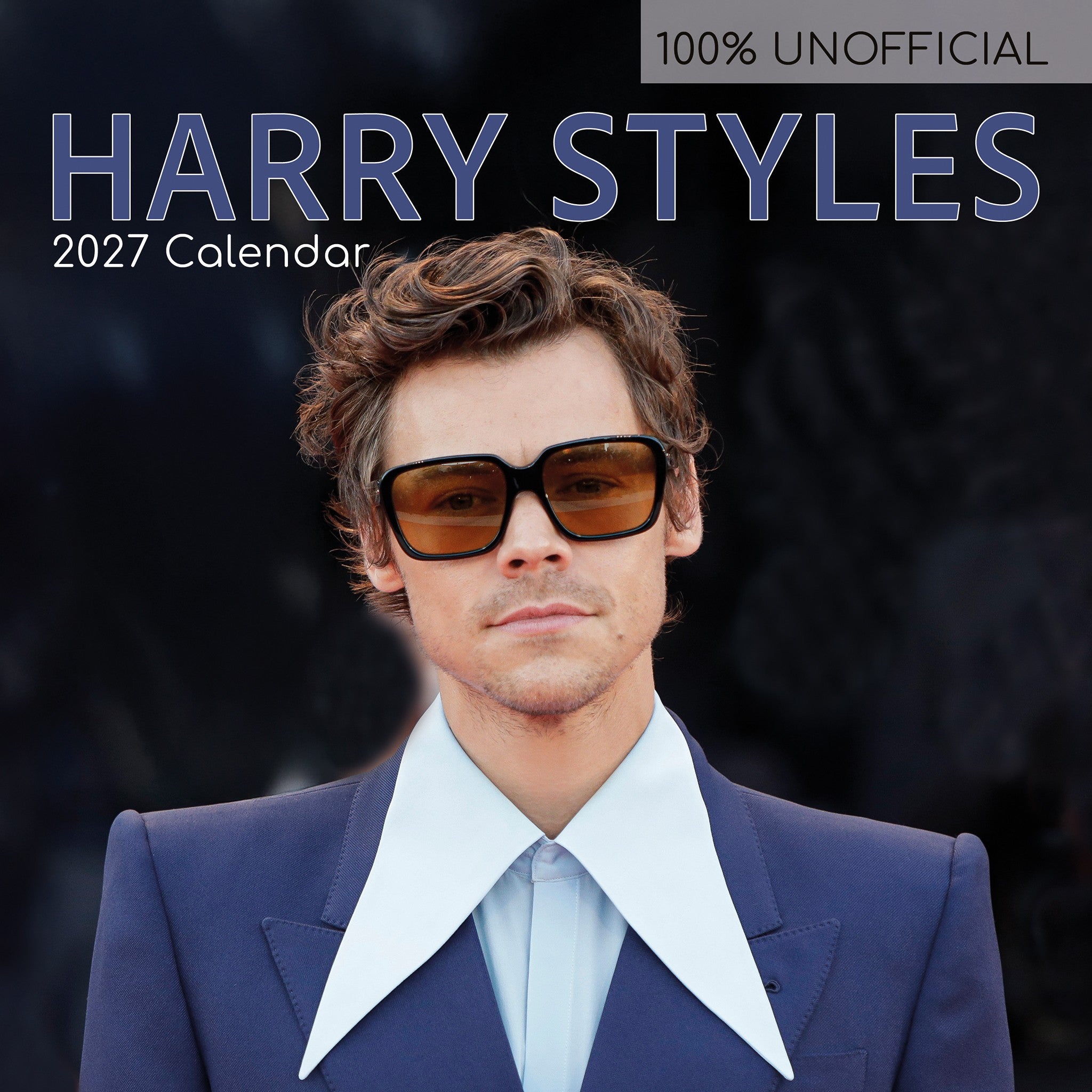 Harry Styles 2027 Wall Calendar