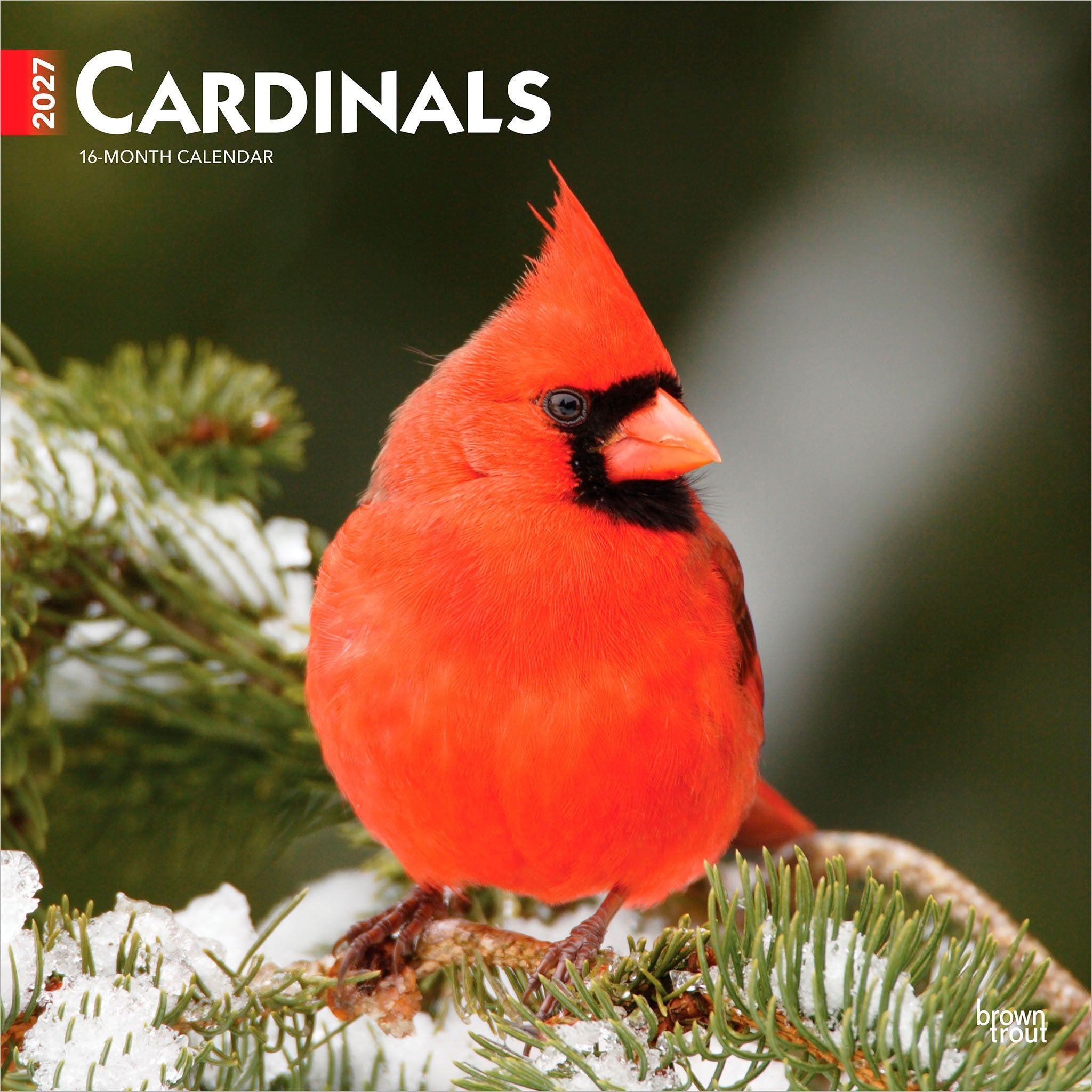 Cardinals 2027 Wall Calendar