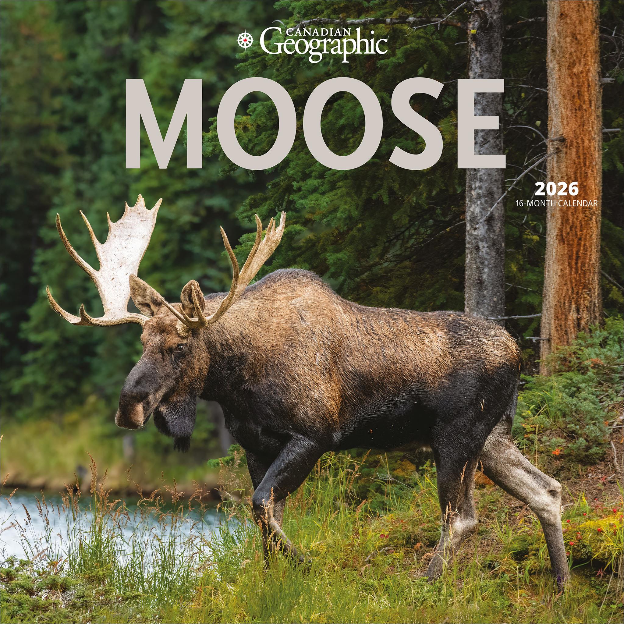 Canadian Geographic Moose 2026 Wall Calendar