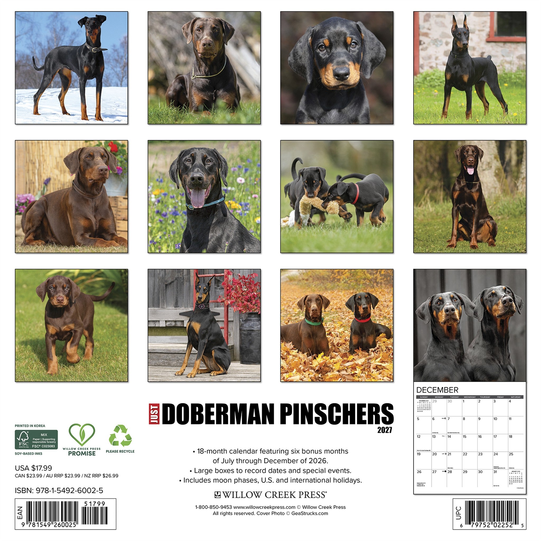 Doberman Pinschers 2027 Wall Calendar - Online Only