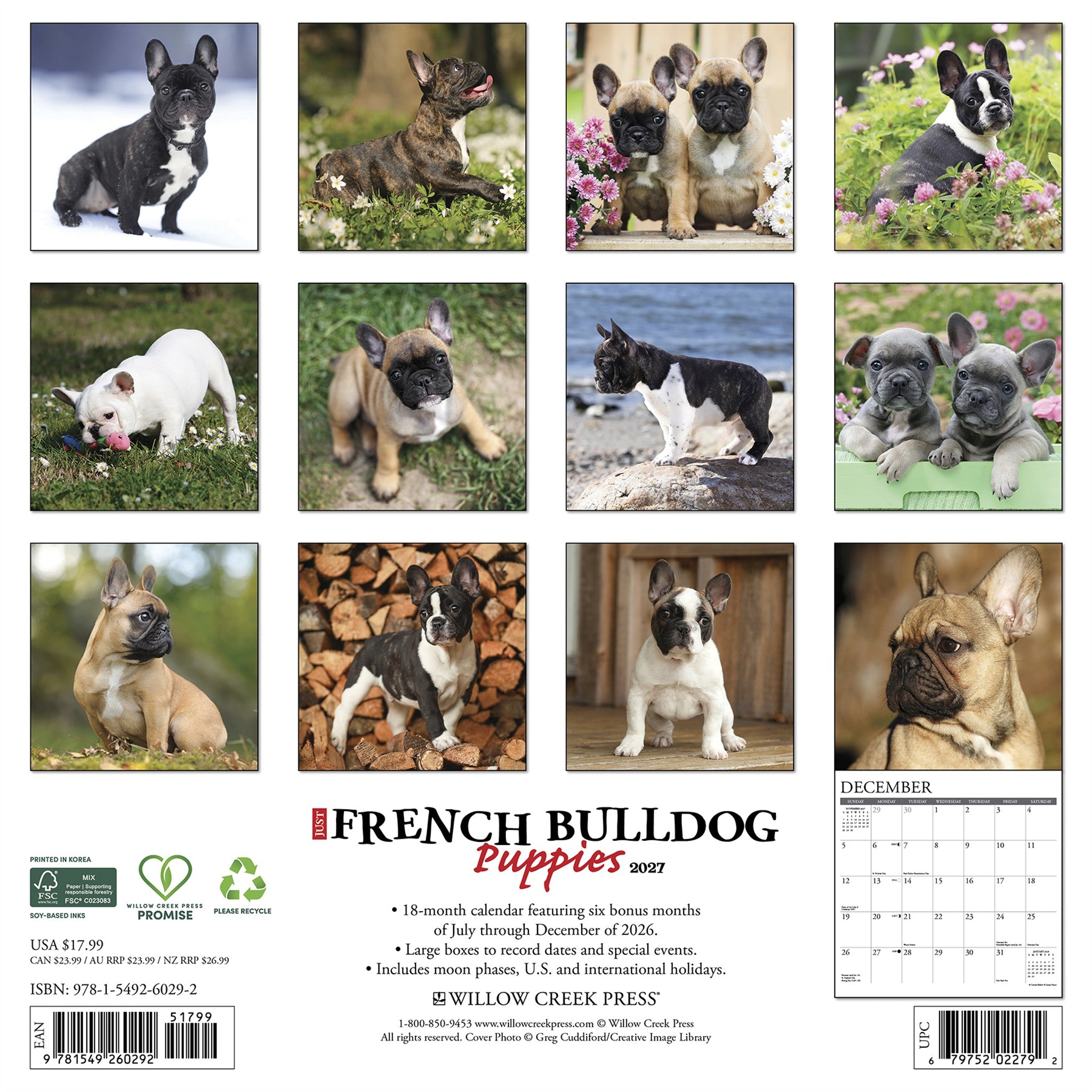 French Bulldog Puppies 2027 Wall Calendar