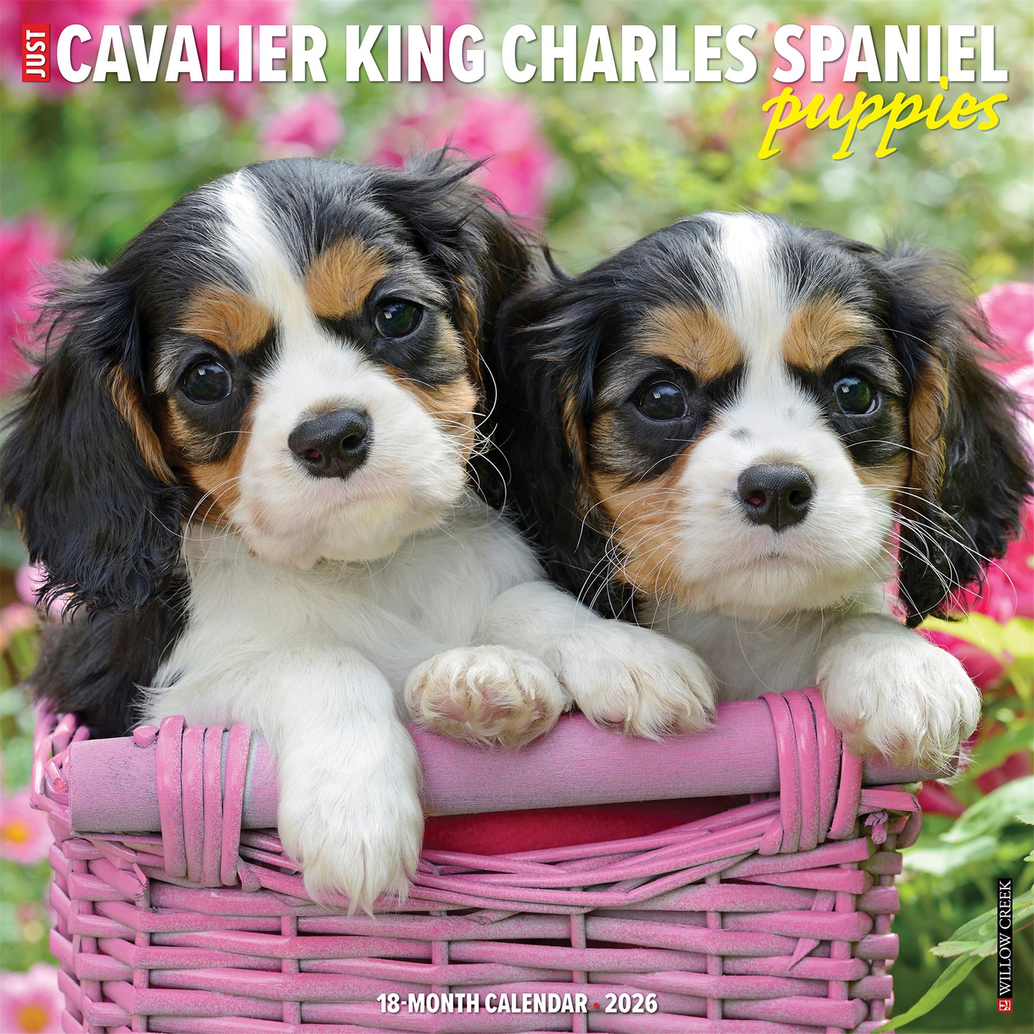 Just Cavalier King Charles Spaniel Puppies 2026 Wall Calendar - Online Only