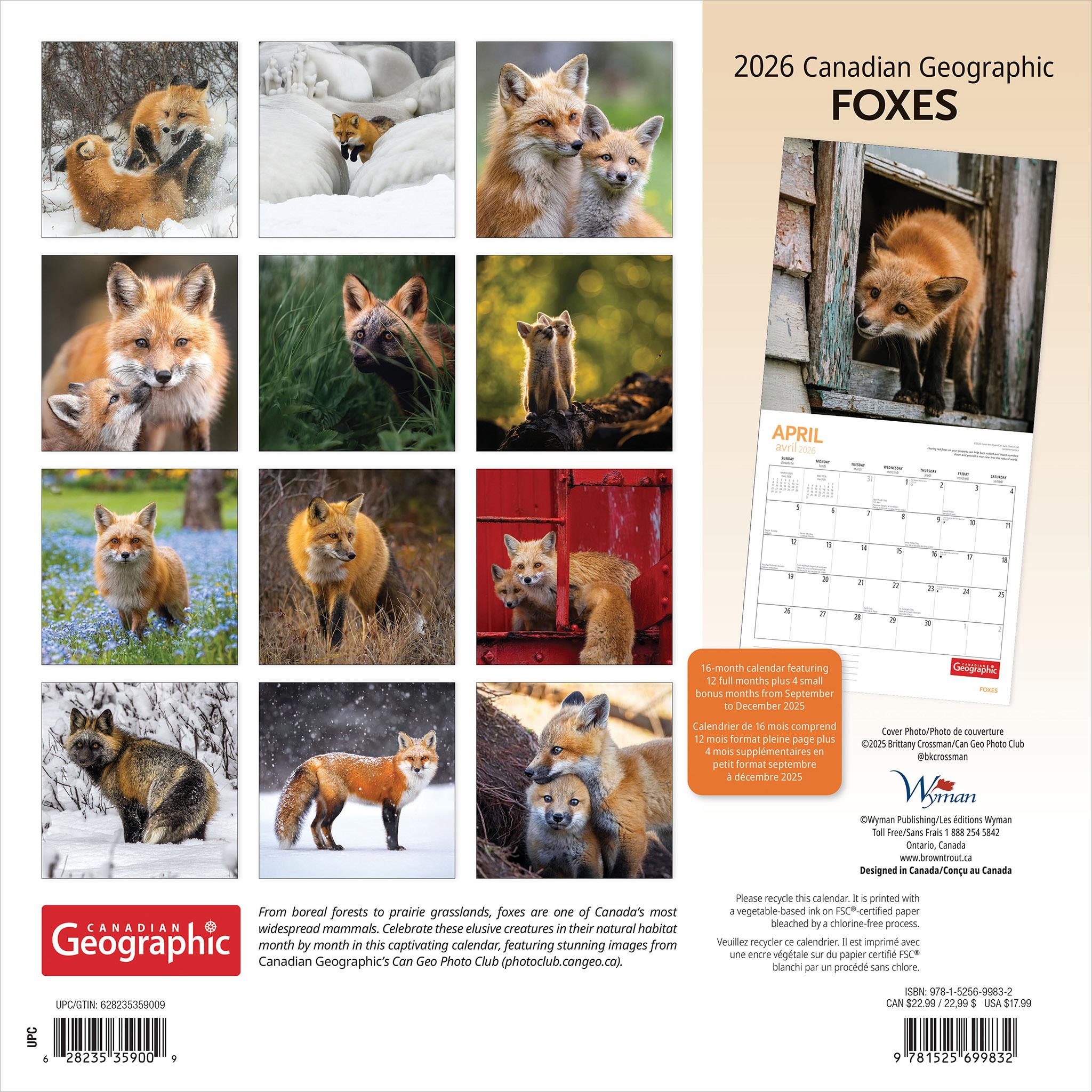Canadian Geographic Foxes 2026 Wall Calendar - Online Only